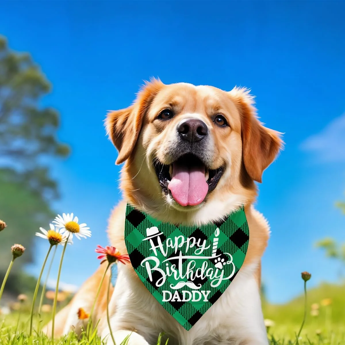 دستمال گردن سگ، دستمال گردن سگ طرح تولدت مبارک پدر، شال سگ با طرح چهارخانه سبز کلاسیک، شال گردن حیوانات خانگی، لوازم جانبی شال حیوانات خانگی، هدیه دستمال گردن سگ برای جشن تولد پدر H3 دستمال گردن سگ، دستمال گردن سگ طرح تولدت مبارک پدر، شال سگ با طرح چهارخانه سبز کلاسیک، شال گردن حیوانات خانگی، لوازم جانبی شال حیوانات خانگی، هدیه دستمال گردن سگ برای جشن تولد پدر H3