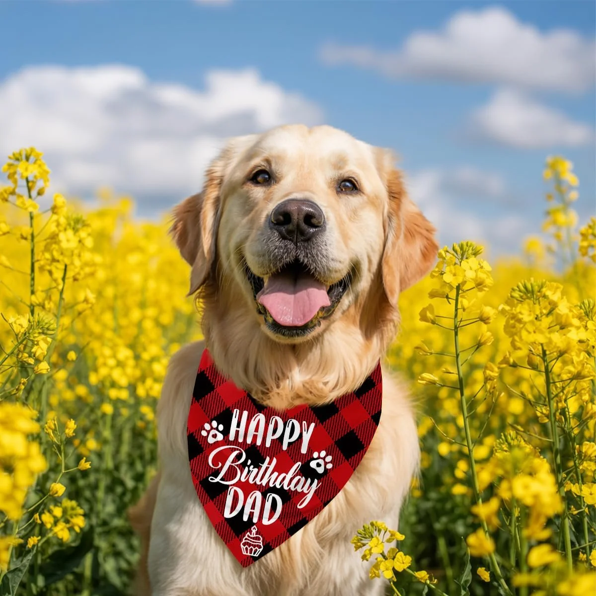 دستمال گردن سگ، دستمال گردن سگ طرح تولدت مبارک پدر، شال سگ با طرح چهارخانه سبز کلاسیک، شال گردن حیوانات خانگی، لوازم جانبی شال حیوانات خانگی، هدیه دستمال گردن سگ برای جشن تولد پدر H13 دستمال گردن سگ، دستمال گردن سگ طرح تولدت مبارک پدر، شال سگ با طرح چهارخانه سبز کلاسیک، شال گردن حیوانات خانگی، لوازم جانبی شال حیوانات خانگی، هدیه دستمال گردن سگ برای جشن تولد پدر H13