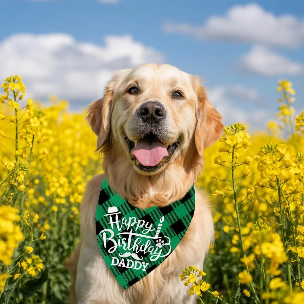 دستمال گردن سگ، دستمال گردن سگ طرح تولدت مبارک پدر، شال سگ با طرح چهارخانه سبز کلاسیک، شال گردن حیوانات خانگی، لوازم جانبی شال حیوانات خانگی، هدیه دستمال گردن سگ برای جشن تولد پدر H3 دستمال گردن سگ، دستمال گردن سگ طرح تولدت مبارک پدر، شال سگ با طرح چهارخانه سبز کلاسیک، شال گردن حیوانات خانگی، لوازم جانبی شال حیوانات خانگی، هدیه دستمال گردن سگ برای جشن تولد پدر H3