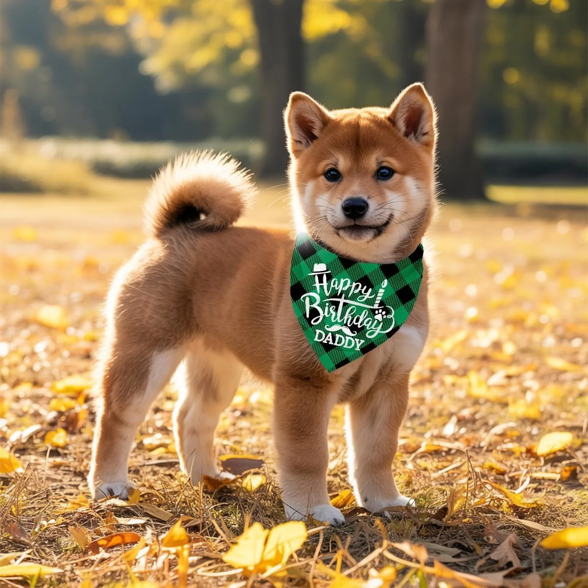 دستمال گردن سگ، دستمال گردن سگ طرح تولدت مبارک پدر، شال سگ با طرح چهارخانه سبز کلاسیک، شال گردن حیوانات خانگی، لوازم جانبی شال حیوانات خانگی، هدیه دستمال گردن سگ برای جشن تولد پدر H3 دستمال گردن سگ، دستمال گردن سگ طرح تولدت مبارک پدر، شال سگ با طرح چهارخانه سبز کلاسیک، شال گردن حیوانات خانگی، لوازم جانبی شال حیوانات خانگی، هدیه دستمال گردن سگ برای جشن تولد پدر H3