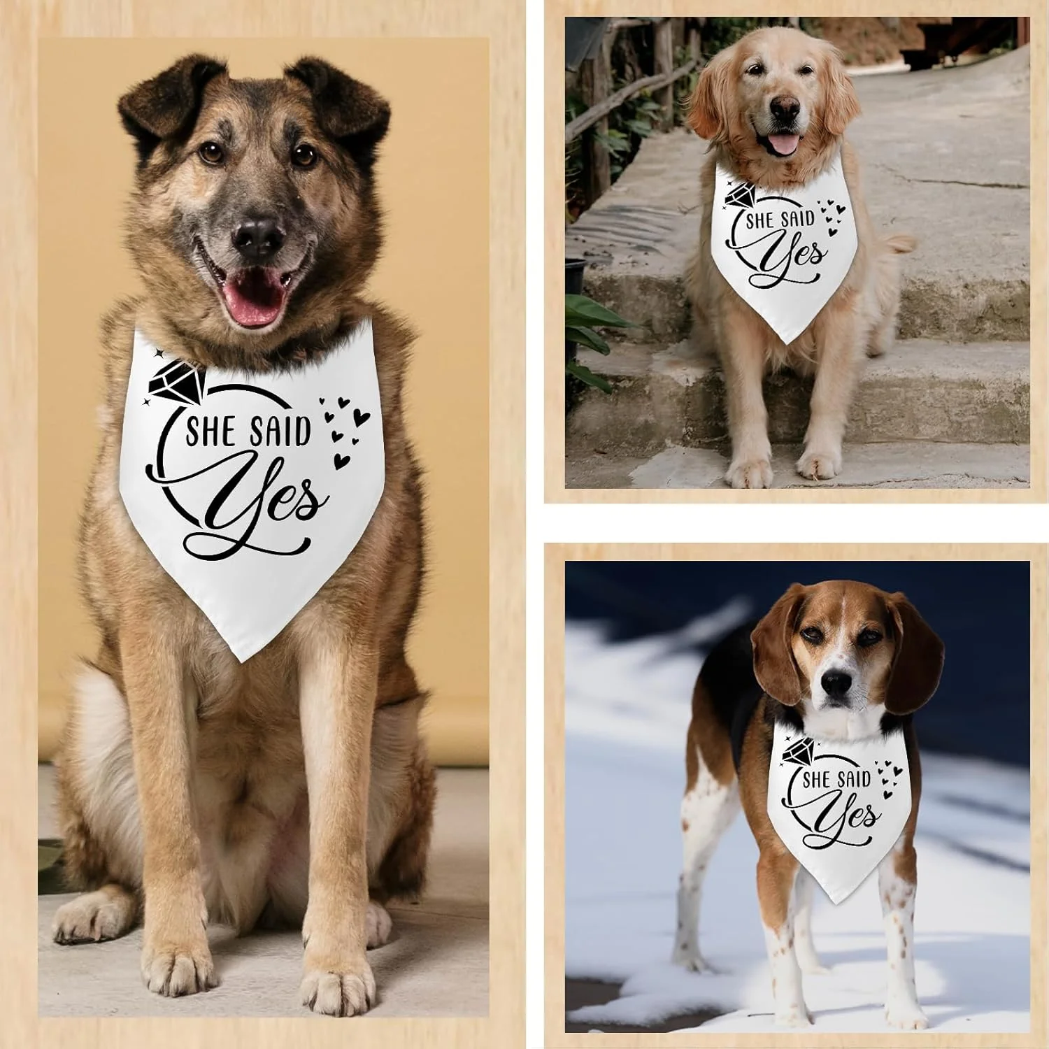 دستمال گردن سگ طرح "او بله گفت"، هدیه جشن عروسی، دستمال گردن توله سگ، ساقدوش عروس، عکس نامزدی عروسی، لوازم جانبی برای دوستداران سگ، هدیه صاحب سگ دستمال گردن سگ طرح "او بله گفت"، هدیه جشن عروسی، دستمال گردن توله سگ، ساقدوش عروس، عکس نامزدی عروسی، لوازم جانبی برای دوستداران سگ، هدیه صاحب سگ