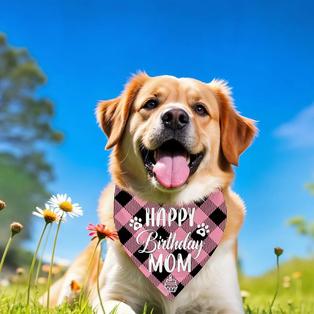 دستمال گردن سگ، دستمال گردن سگ طرح تولدت مبارک مادر، شال سگ با طرح چهارخانه کلاسیک، دستمال گردن حیوانات خانگی، لوازم جانبی شال حیوانات خانگی، هدیه دستمال گردن سگ برای جشن تولد مادر M10 دستمال گردن سگ، دستمال گردن سگ طرح تولدت مبارک مادر، شال سگ با طرح چهارخانه کلاسیک، دستمال گردن حیوانات خانگی، لوازم جانبی شال حیوانات خانگی، هدیه دستمال گردن سگ برای جشن تولد مادر M10