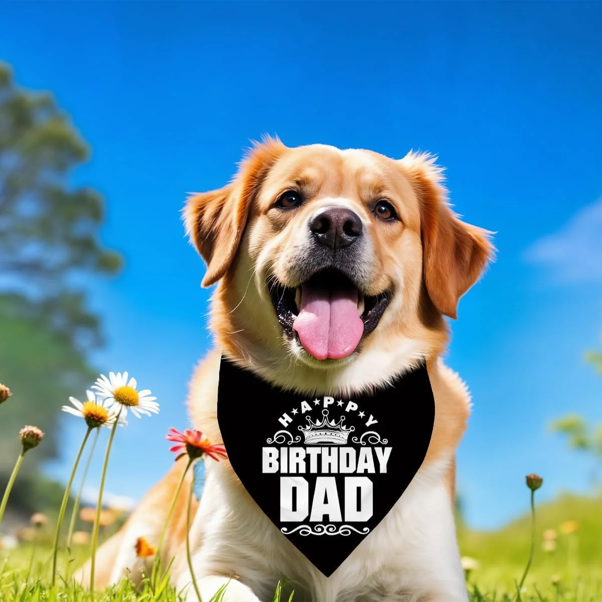 دستمال گردن سگ، دستمال گردن سگ تولدت مبارک پدر، شال گردن سگ مشکی کلاسیک، شال حیوانات خانگی، لوازم جانبی شال حیوانات خانگی، هدیه دستمال گردن سگ برای جشن تولد پدر H12 دستمال گردن سگ، دستمال گردن سگ تولدت مبارک پدر، شال گردن سگ مشکی کلاسیک، شال حیوانات خانگی، لوازم جانبی شال حیوانات خانگی، هدیه دستمال گردن سگ برای جشن تولد پدر H12
