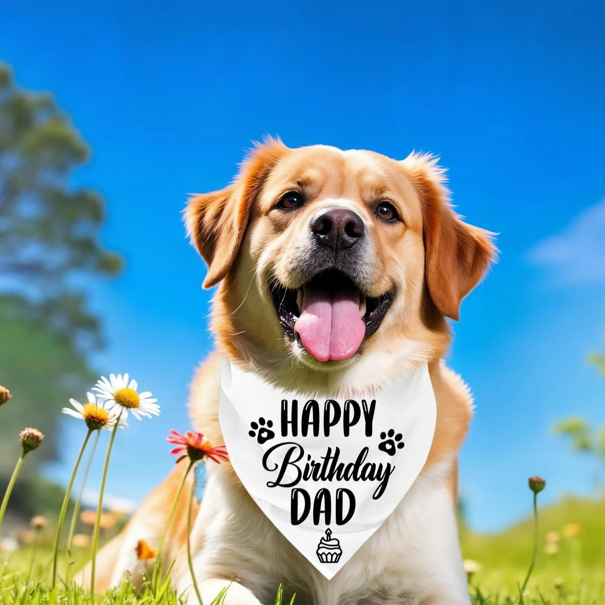 دستمال گردن سگ، دستمال گردن سگ طرح تولدت مبارک پدر، شال گردن سگ سفید کلاسیک، شال حیوانات خانگی، لوازم جانبی شال حیوانات خانگی، هدیه دستمال گردن سگ برای جشن تولد پدر H17 دستمال گردن سگ، دستمال گردن سگ طرح تولدت مبارک پدر، شال گردن سگ سفید کلاسیک، شال حیوانات خانگی، لوازم جانبی شال حیوانات خانگی، هدیه دستمال گردن سگ برای جشن تولد پدر H17