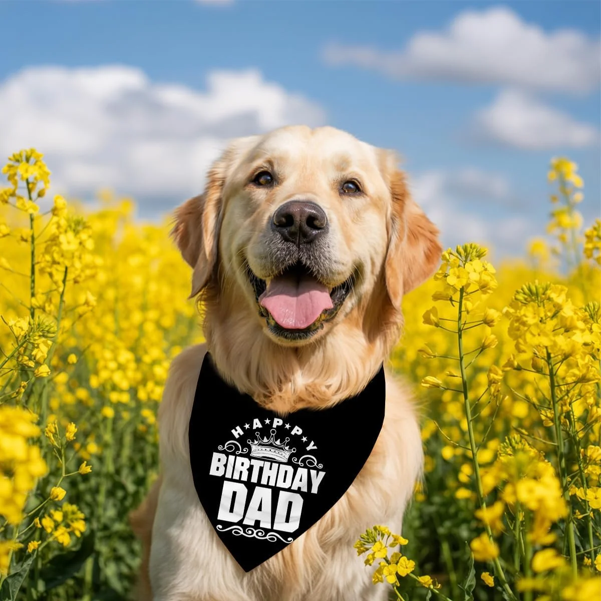 دستمال گردن سگ، دستمال گردن سگ تولدت مبارک پدر، شال گردن سگ مشکی کلاسیک، شال حیوانات خانگی، لوازم جانبی شال حیوانات خانگی، هدیه دستمال گردن سگ برای جشن تولد پدر H12 دستمال گردن سگ، دستمال گردن سگ تولدت مبارک پدر، شال گردن سگ مشکی کلاسیک، شال حیوانات خانگی، لوازم جانبی شال حیوانات خانگی، هدیه دستمال گردن سگ برای جشن تولد پدر H12