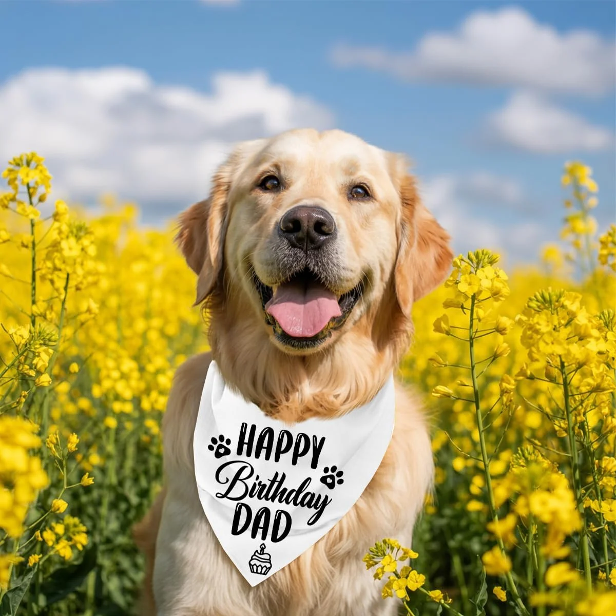 دستمال گردن سگ، دستمال گردن سگ طرح تولدت مبارک پدر، شال گردن سگ سفید کلاسیک، شال حیوانات خانگی، لوازم جانبی شال حیوانات خانگی، هدیه دستمال گردن سگ برای جشن تولد پدر H17 دستمال گردن سگ، دستمال گردن سگ طرح تولدت مبارک پدر، شال گردن سگ سفید کلاسیک، شال حیوانات خانگی، لوازم جانبی شال حیوانات خانگی، هدیه دستمال گردن سگ برای جشن تولد پدر H17