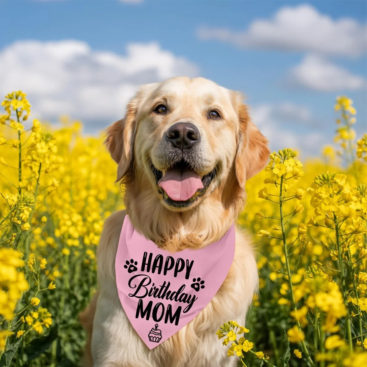 دستمال گردن سگ، دستمال گردن سگ طرح تولدت مبارک مادر، شال گردن سگ با طرح چهارخانه کلاسیک، روسری حیوانات خانگی، لوازم جانبی روسری حیوانات خانگی، هدیه دستمال گردن سگ برای جشن تولد مادر M14 دستمال گردن سگ، دستمال گردن سگ طرح تولدت مبارک مادر، شال گردن سگ با طرح چهارخانه کلاسیک، روسری حیوانات خانگی، لوازم جانبی روسری حیوانات خانگی، هدیه دستمال گردن سگ برای جشن تولد مادر M14