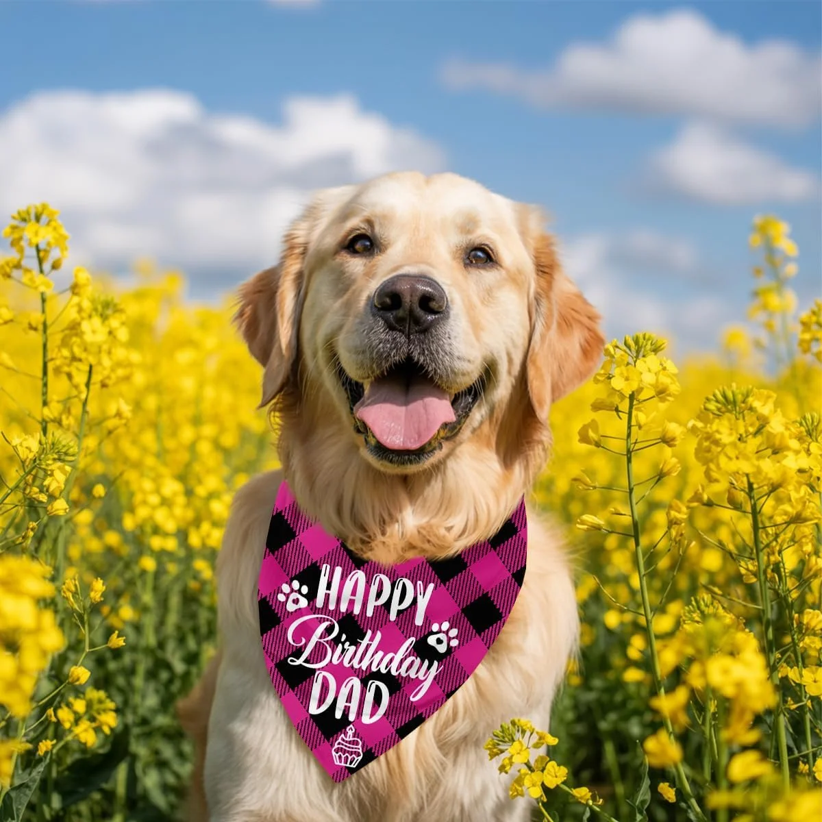 دستمال گردن سگ، دستمال گردن سگ طرح تولدت مبارک پدر، شال گردن سگ با طرح چهارخانه صورتی کلاسیک، شال حیوانات خانگی، لوازم جانبی شال حیوانات خانگی، هدیه دستمال گردن سگ برای جشن تولد پدر H16 دستمال گردن سگ، دستمال گردن سگ طرح تولدت مبارک پدر، شال گردن سگ با طرح چهارخانه صورتی کلاسیک، شال حیوانات خانگی، لوازم جانبی شال حیوانات خانگی، هدیه دستمال گردن سگ برای جشن تولد پدر H16