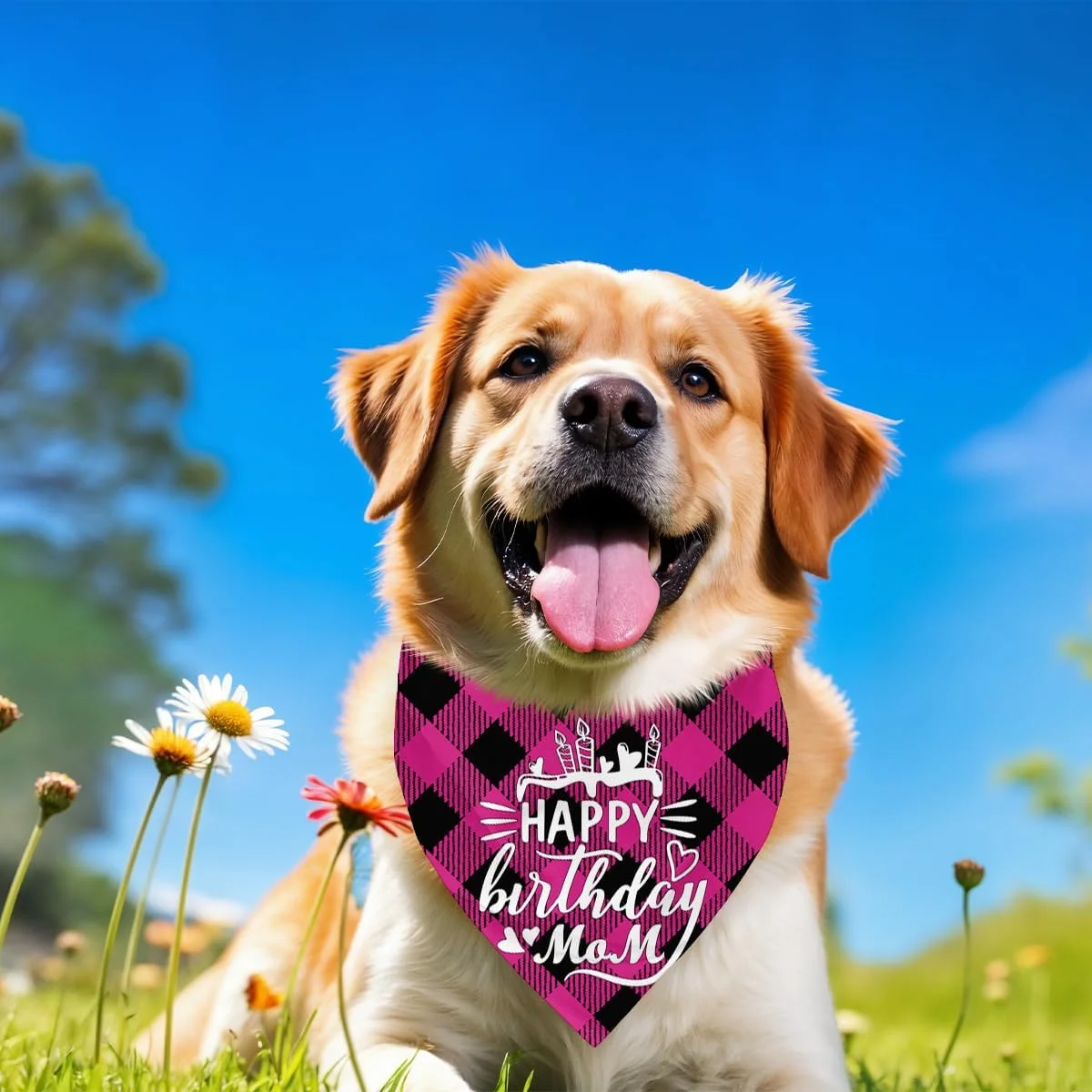 دستمال گردن سگ، دستمال گردن سگ طرح تولدت مبارک مادر، شال گردن سگ با طرح چهارخانه کلاسیک، شال گردن حیوانات خانگی، لوازم جانبی شال گردن حیوانات خانگی، هدیه دستمال گردن سگ برای جشن تولد مادر M3 دستمال گردن سگ، دستمال گردن سگ طرح تولدت مبارک مادر، شال گردن سگ با طرح چهارخانه کلاسیک، شال گردن حیوانات خانگی، لوازم جانبی شال گردن حیوانات خانگی، هدیه دستمال گردن سگ برای جشن تولد مادر M3