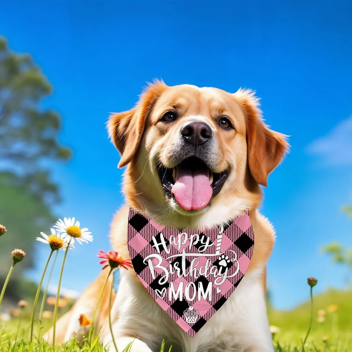 دستمال گردن سگ، دستمال گردن سگ طرح تولدت مبارک مادر، شال گردن سگ با طرح چهارخانه کلاسیک، شال گردن حیوانات خانگی، لوازم جانبی شال گردن حیوانات خانگی، هدیه دستمال گردن سگ برای جشن تولد مادر M6 دستمال گردن سگ، دستمال گردن سگ طرح تولدت مبارک مادر، شال گردن سگ با طرح چهارخانه کلاسیک، شال گردن حیوانات خانگی، لوازم جانبی شال گردن حیوانات خانگی، هدیه دستمال گردن سگ برای جشن تولد مادر M6