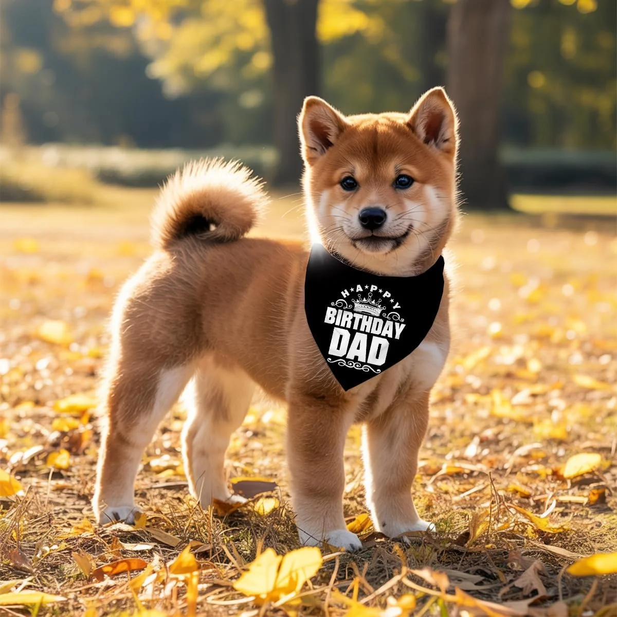 دستمال گردن سگ، دستمال گردن سگ تولدت مبارک پدر، شال گردن سگ مشکی کلاسیک، شال حیوانات خانگی، لوازم جانبی شال حیوانات خانگی، هدیه دستمال گردن سگ برای جشن تولد پدر H12 دستمال گردن سگ، دستمال گردن سگ تولدت مبارک پدر، شال گردن سگ مشکی کلاسیک، شال حیوانات خانگی، لوازم جانبی شال حیوانات خانگی، هدیه دستمال گردن سگ برای جشن تولد پدر H12