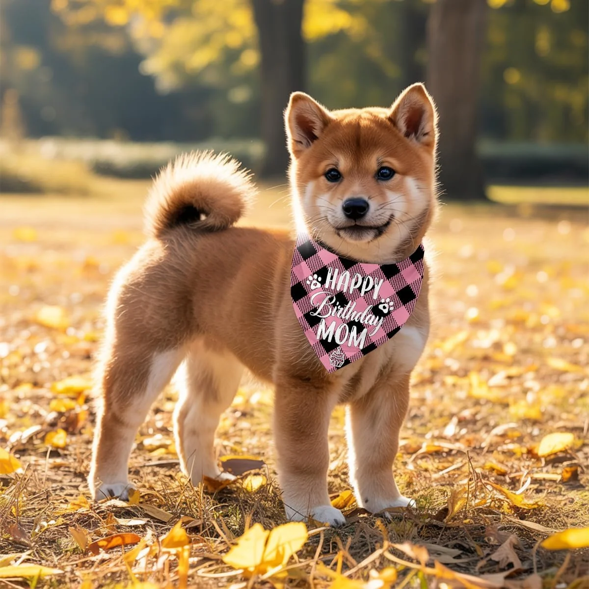 دستمال گردن سگ، دستمال گردن سگ طرح تولدت مبارک مادر، شال سگ با طرح چهارخانه کلاسیک، دستمال گردن حیوانات خانگی، لوازم جانبی شال حیوانات خانگی، هدیه دستمال گردن سگ برای جشن تولد مادر M10 دستمال گردن سگ، دستمال گردن سگ طرح تولدت مبارک مادر، شال سگ با طرح چهارخانه کلاسیک، دستمال گردن حیوانات خانگی، لوازم جانبی شال حیوانات خانگی، هدیه دستمال گردن سگ برای جشن تولد مادر M10