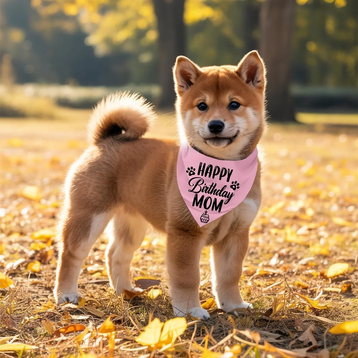دستمال گردن سگ، دستمال گردن سگ طرح تولدت مبارک مادر، شال گردن سگ با طرح چهارخانه کلاسیک، روسری حیوانات خانگی، لوازم جانبی روسری حیوانات خانگی، هدیه دستمال گردن سگ برای جشن تولد مادر M14 دستمال گردن سگ، دستمال گردن سگ طرح تولدت مبارک مادر، شال گردن سگ با طرح چهارخانه کلاسیک، روسری حیوانات خانگی، لوازم جانبی روسری حیوانات خانگی، هدیه دستمال گردن سگ برای جشن تولد مادر M14
