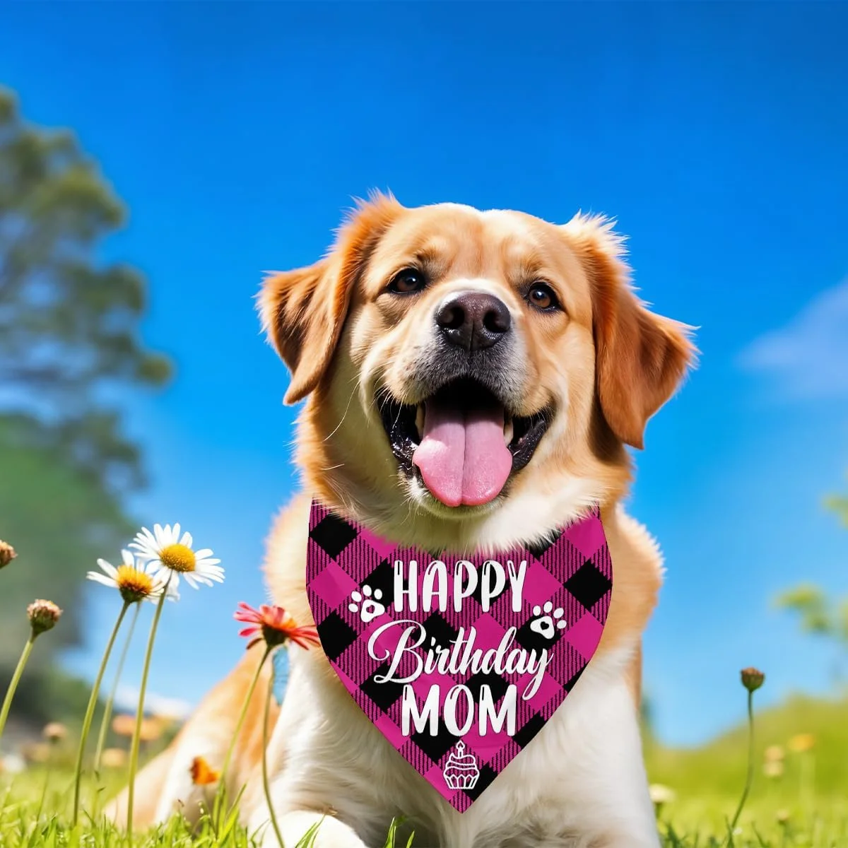 دستمال گردن سگ، دستمال گردن سگ طرح تولدت مبارک مادر، شال سگ با طرح چهارخانه کلاسیک، شال گردن حیوانات خانگی، لوازم جانبی شال حیوانات خانگی، هدیه دستمال گردن سگ برای جشن تولد مادر M12 دستمال گردن سگ، دستمال گردن سگ طرح تولدت مبارک مادر، شال سگ با طرح چهارخانه کلاسیک، شال گردن حیوانات خانگی، لوازم جانبی شال حیوانات خانگی، هدیه دستمال گردن سگ برای جشن تولد مادر M12