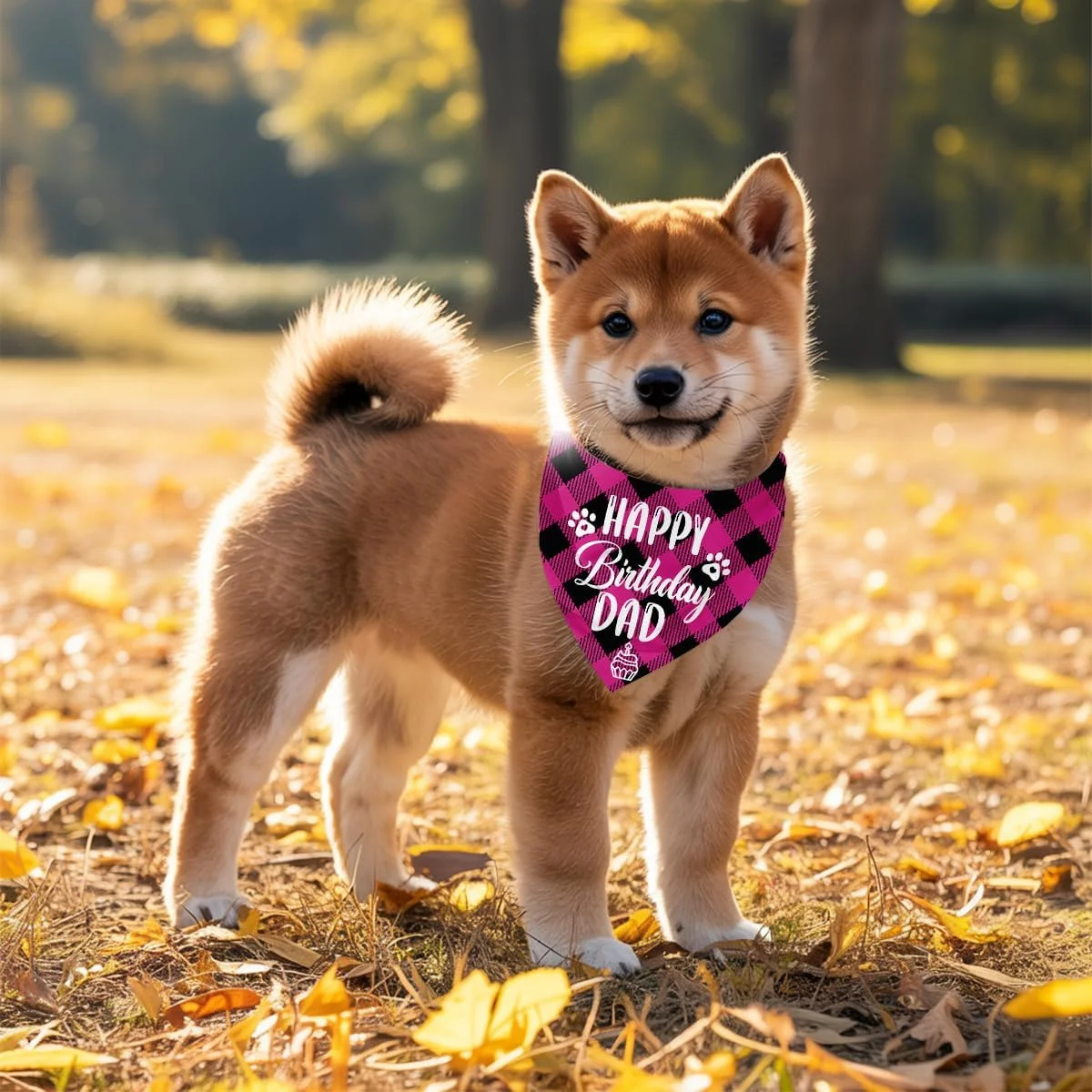 دستمال گردن سگ، دستمال گردن سگ طرح تولدت مبارک پدر، شال گردن سگ با طرح چهارخانه صورتی کلاسیک، شال حیوانات خانگی، لوازم جانبی شال حیوانات خانگی، هدیه دستمال گردن سگ برای جشن تولد پدر H16 دستمال گردن سگ، دستمال گردن سگ طرح تولدت مبارک پدر، شال گردن سگ با طرح چهارخانه صورتی کلاسیک، شال حیوانات خانگی، لوازم جانبی شال حیوانات خانگی، هدیه دستمال گردن سگ برای جشن تولد پدر H16