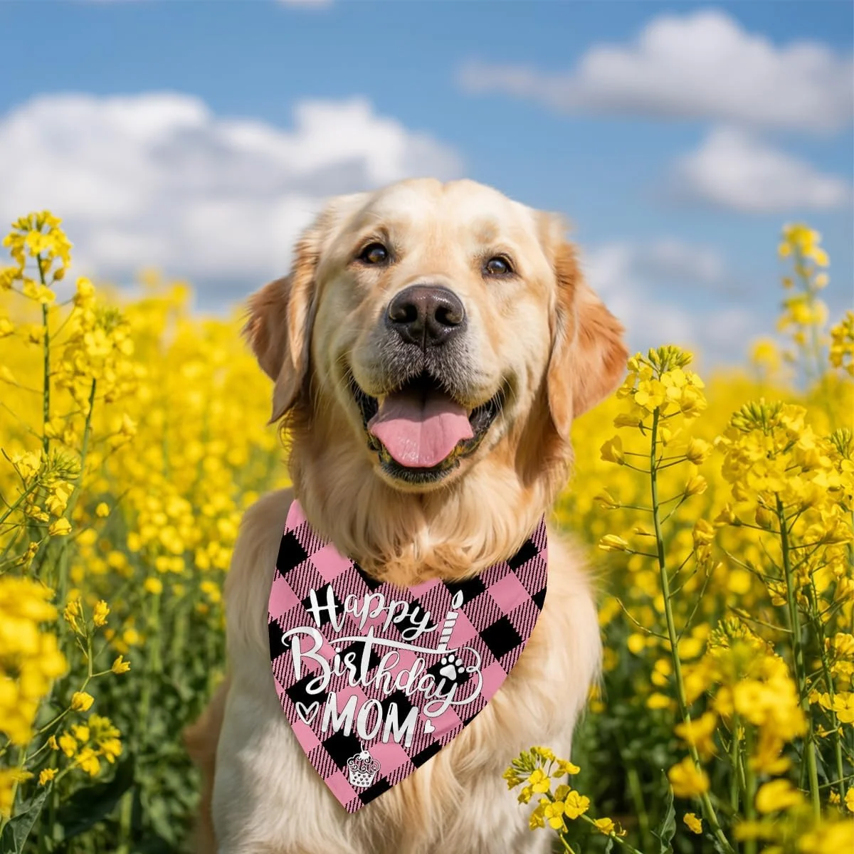دستمال گردن سگ، دستمال گردن سگ طرح تولدت مبارک مادر، شال گردن سگ با طرح چهارخانه کلاسیک، شال گردن حیوانات خانگی، لوازم جانبی شال گردن حیوانات خانگی، هدیه دستمال گردن سگ برای جشن تولد مادر M6 دستمال گردن سگ، دستمال گردن سگ طرح تولدت مبارک مادر، شال گردن سگ با طرح چهارخانه کلاسیک، شال گردن حیوانات خانگی، لوازم جانبی شال گردن حیوانات خانگی، هدیه دستمال گردن سگ برای جشن تولد مادر M6