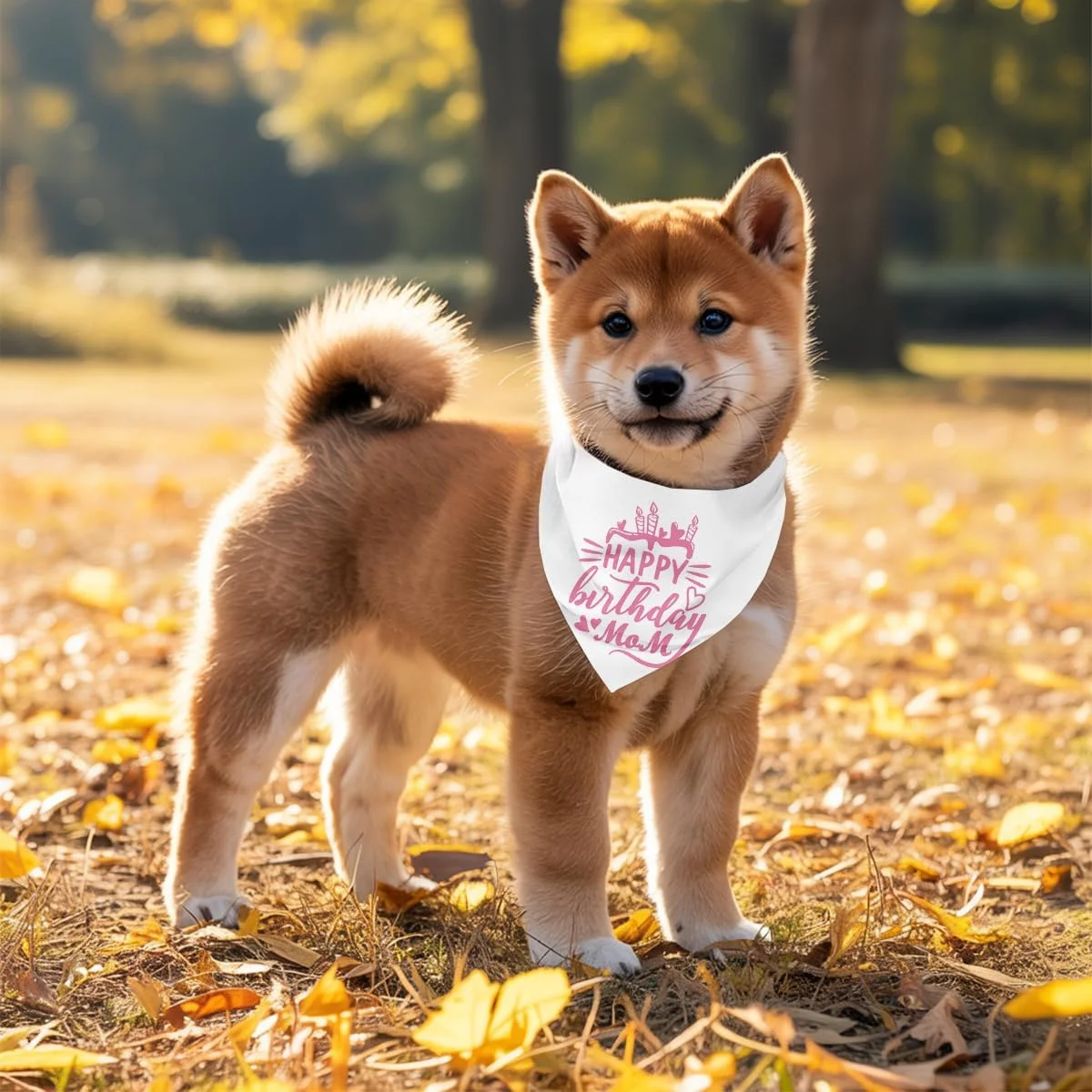 دستمال گردن سگ، دستمال گردن سگ طرح تولدت مبارک مادر، شال گردن سگ با طرح چهارخانه کلاسیک، شال گردن حیوانات خانگی، لوازم جانبی شال گردن حیوانات خانگی، هدیه دستمال گردن سگ برای جشن تولد مادر M4
