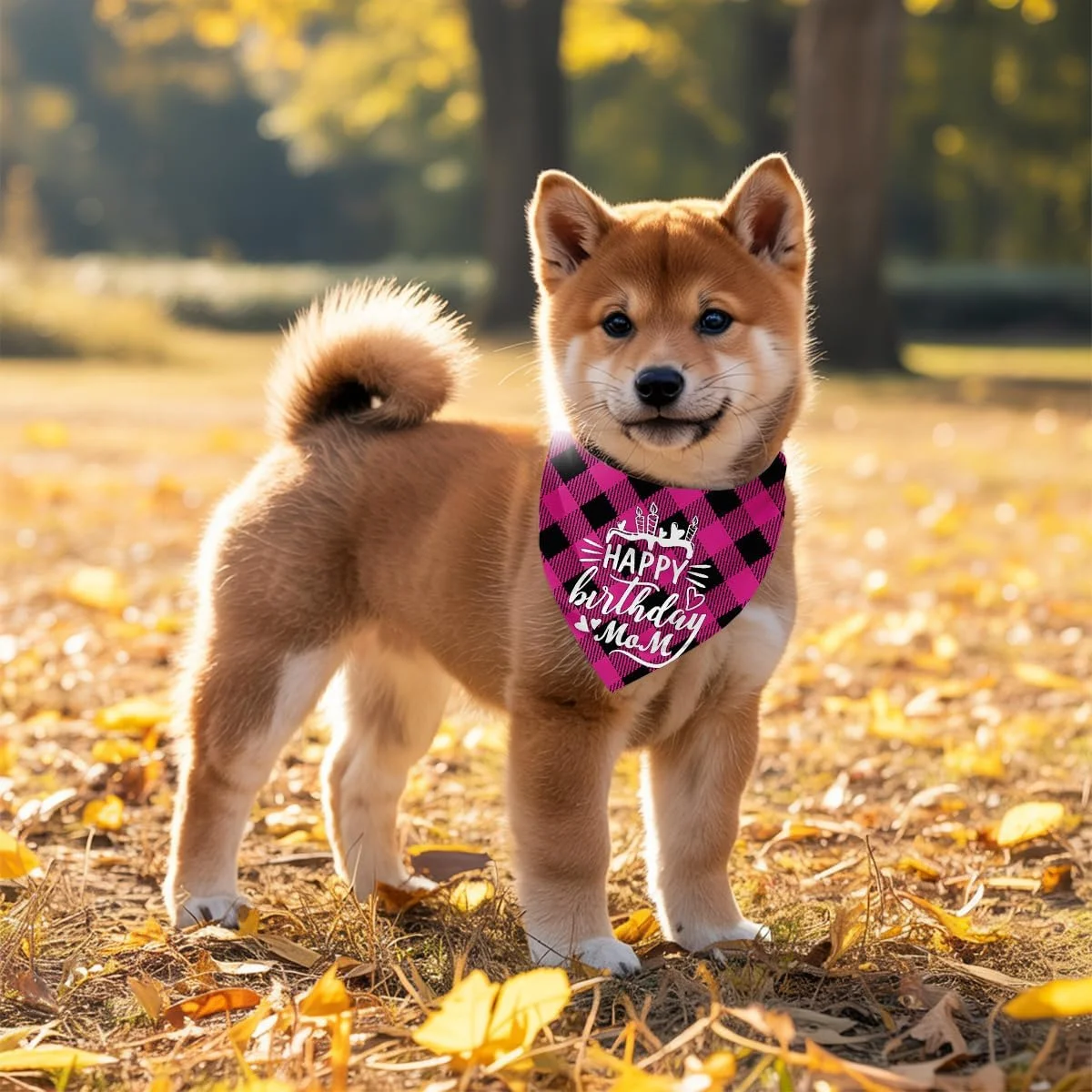 دستمال گردن سگ، دستمال گردن سگ طرح تولدت مبارک مادر، شال گردن سگ با طرح چهارخانه کلاسیک، شال گردن حیوانات خانگی، لوازم جانبی شال گردن حیوانات خانگی، هدیه دستمال گردن سگ برای جشن تولد مادر M3 دستمال گردن سگ، دستمال گردن سگ طرح تولدت مبارک مادر، شال گردن سگ با طرح چهارخانه کلاسیک، شال گردن حیوانات خانگی، لوازم جانبی شال گردن حیوانات خانگی، هدیه دستمال گردن سگ برای جشن تولد مادر M3