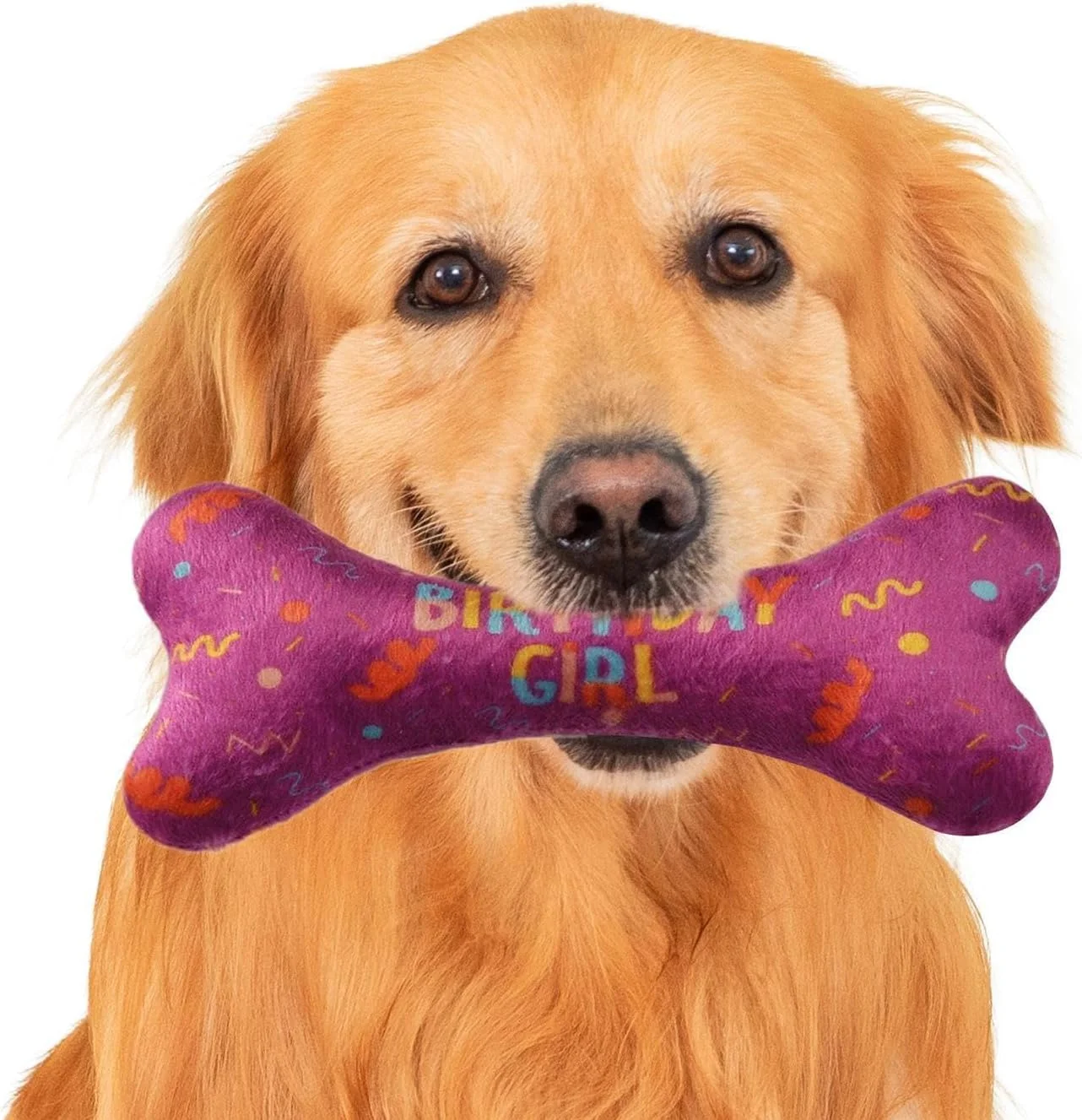 دستمال گردن سگ، پیشبند مثلثی طرح استخوان زیبا - روسری مثلثی نرم و قابل تنظیم برای سگ ها، لوازم کوچک حیوانات خانگی برای پیاده روی و دویدن در فضای باز