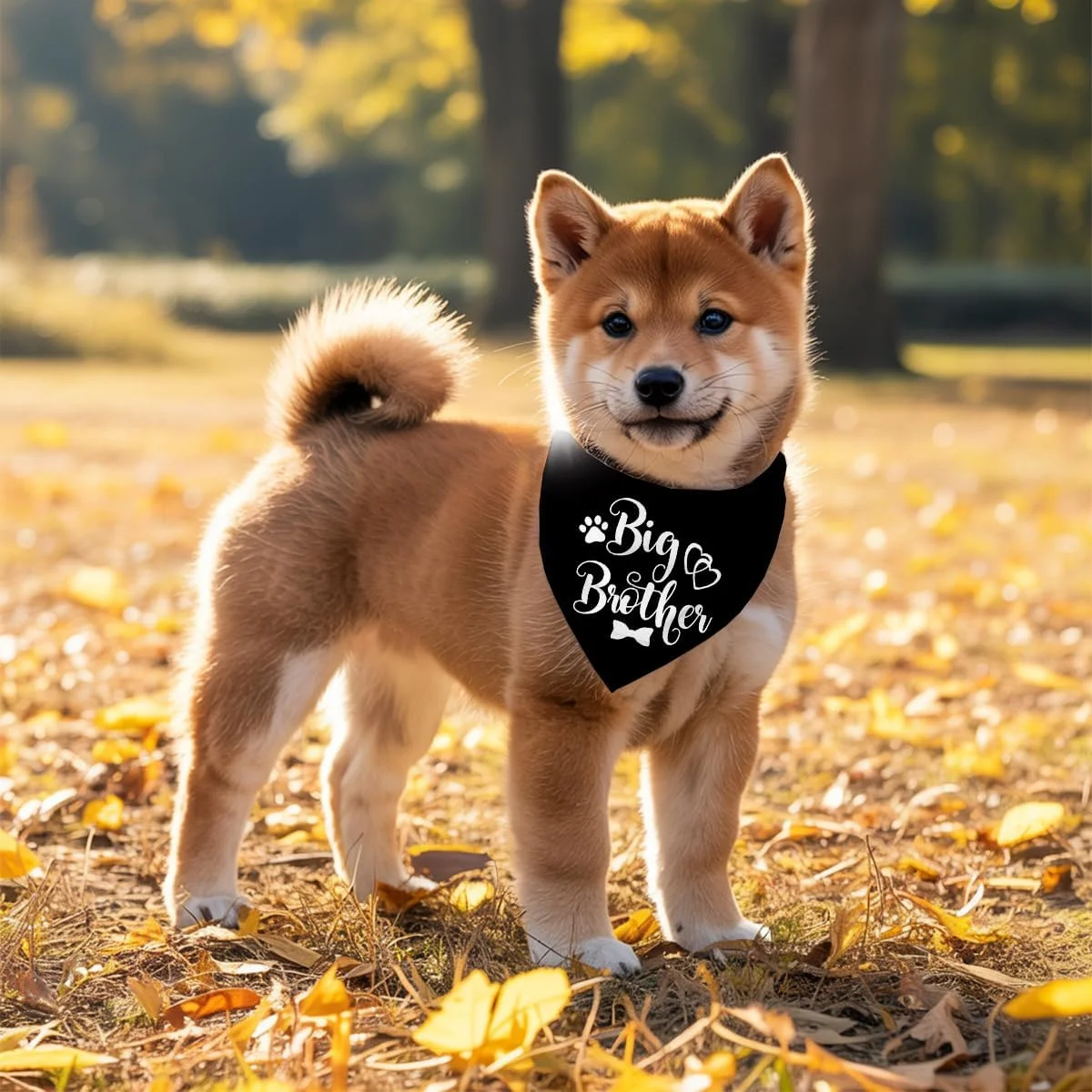 دستمال گردن سگ، دستمال گردن سگ برادر بزرگ، شال گردن حیوانات خانگی مشکی طرح چهارخانه، لوازم جانبی شال گردن سگ، لوازم جانبی طرح چهارخانه حیوانات خانگی برای جشن تعیین جنسیت، هدیه برای سگ های کوچک متوسط بزرگ-A10 دستمال گردن سگ، دستمال گردن سگ برادر بزرگ، شال گردن حیوانات خانگی مشکی طرح چهارخانه، لوازم جانبی شال گردن سگ، لوازم جانبی طرح چهارخانه حیوانات خانگی برای جشن تعیین جنسیت، هدیه برای سگ های کوچک متوسط بزرگ-A10