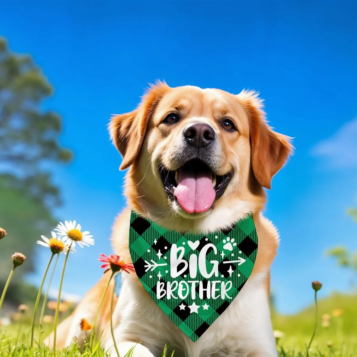 دستمال گردن سگ، دستمال گردن سگ برادر بزرگ، شال گردن حیوانات خانگی سبز طرح چهارخانه، لوازم جانبی شال گردن سگ، لوازم جانبی طرح چهارخانه حیوانات خانگی، هدیه برای سایز کوچک متوسط بزرگ - A3