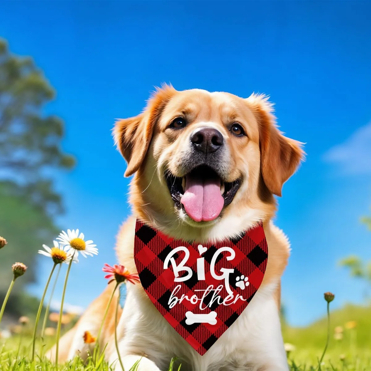 دستمال گردن سگ، دستمال گردن سگ برادر بزرگ، شال گردن حیوانات خانگی قرمز طرح چهارخانه، لوازم جانبی شال گردن سگ، لوازم جانبی طرح چهارخانه حیوانات خانگی برای جشن تعیین جنسیت، هدیه برای سگ های کوچک متوسط بزرگ-A