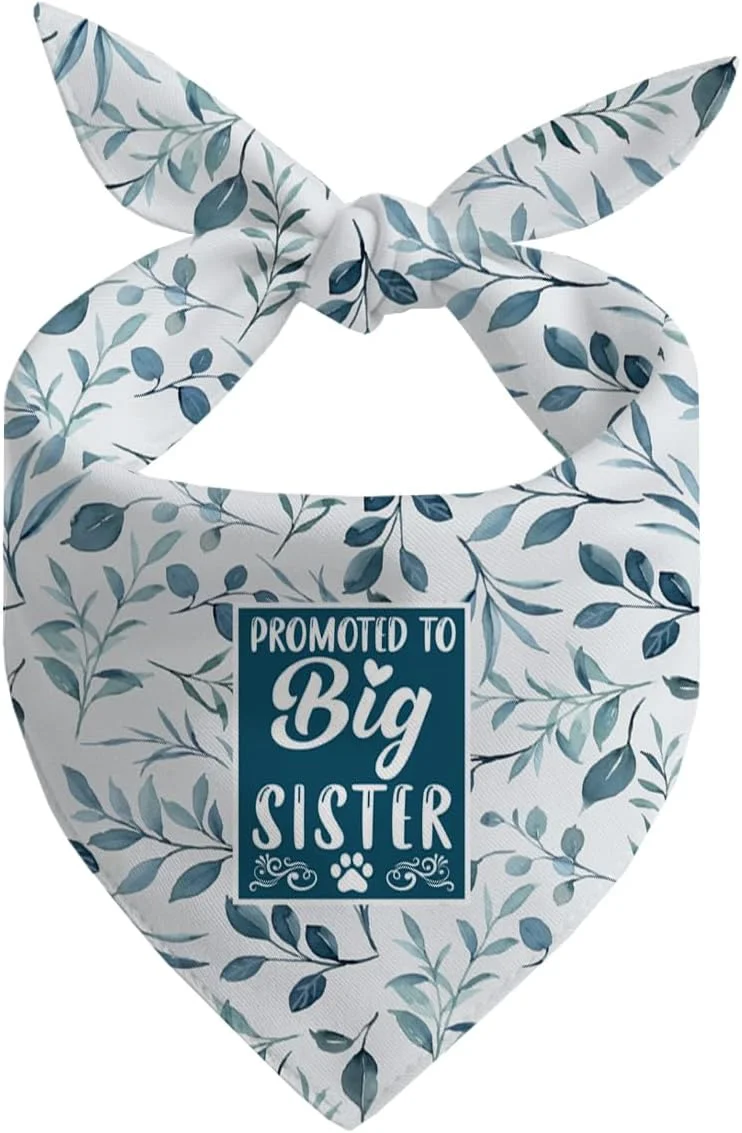 دستمال گردن سگ، دستمال گردن سگ خواهر بزرگتر، شال گردن سگ با طرح چهارخانه کلاسیک، لوازم جانبی شال گردن سگ، لوازم جانبی طرحدار حیوانات خانگی، مدل D13