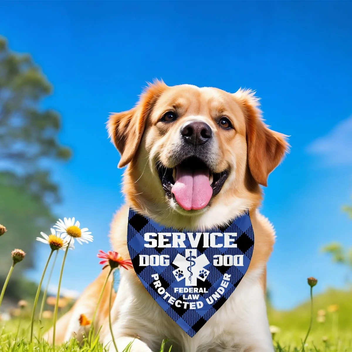 دستمال گردن سگ، دستمال گردن مثلثی سگ، تگ سگ با علامت محافظت فدرال و هشدار پزشکی، شال سگ با طرح چهارخانه آبی کلاسیک، لوازم جانبی سگ G2