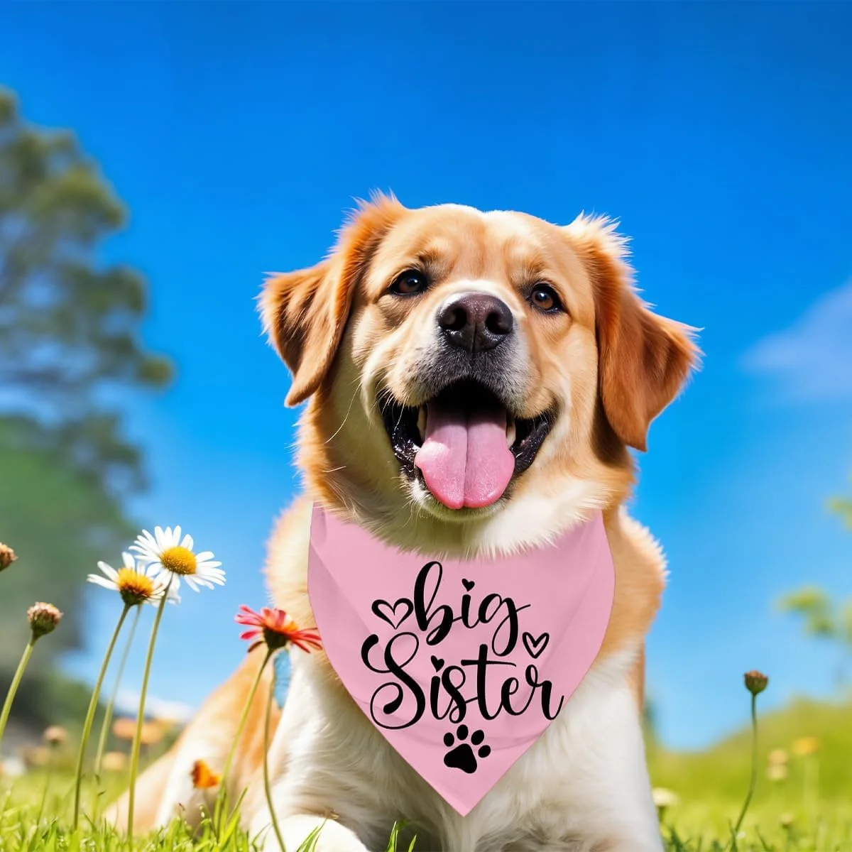 دستمال گردن سگ، دستمال گردن سگ خواهر بزرگتر، شال گردن سگ با طرح چهارخانه کلاسیک، لوازم جانبی شال گردن سگ، لوازم جانبی روگوشی چهارخانه حیوانات خانگی، روگوشی حیوانات خانگی C8