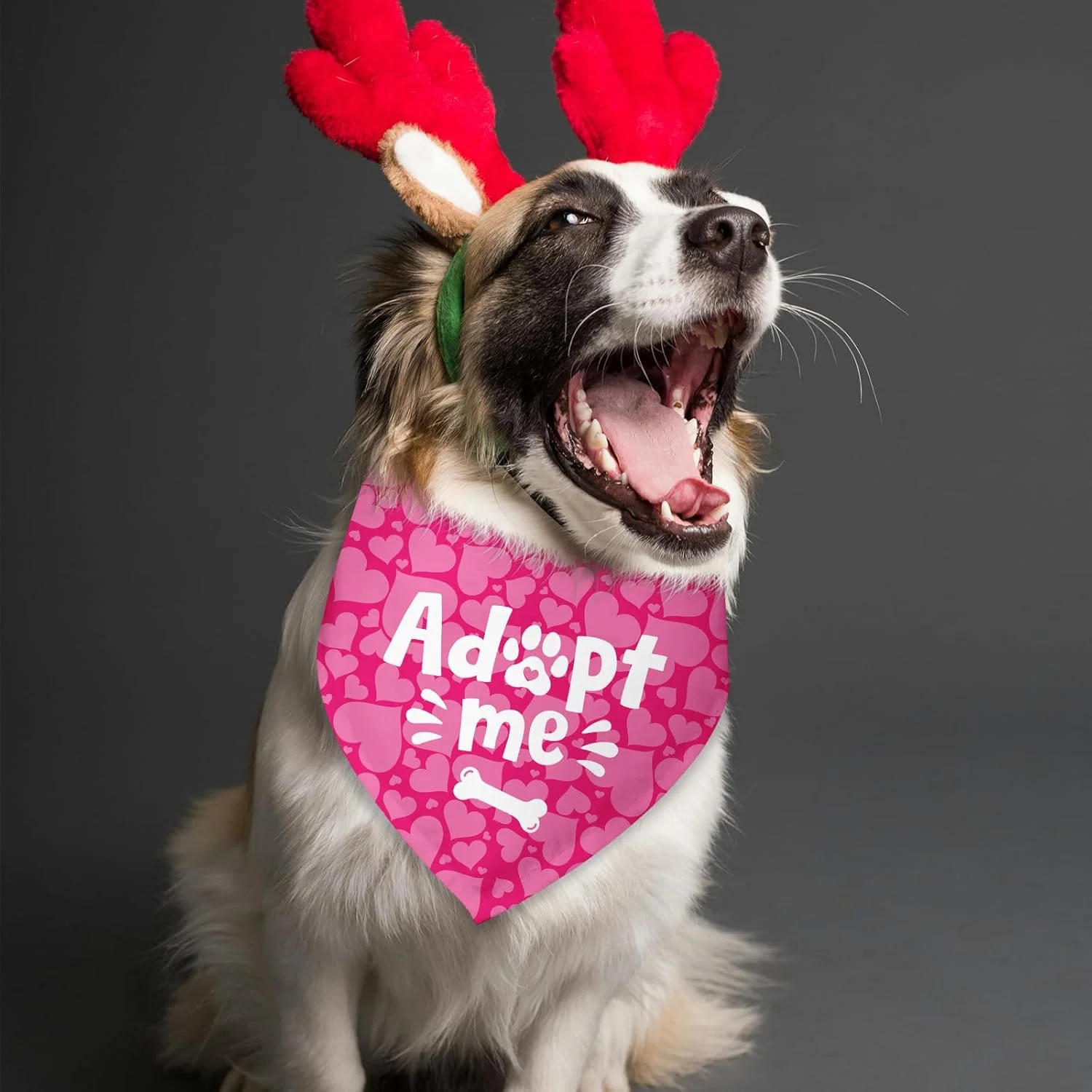دستمال گردن سگ طرح قلب برای روز سرپرستی، دستمال گردن سگ به فرزندی گرفته شده، اعلام نوزاد، شال حیوانات خانگی برای سگ ها و گربه های کوچک و متوسط دستمال گردن سگ طرح قلب برای روز سرپرستی، دستمال گردن سگ به فرزندی گرفته شده، اعلام نوزاد، شال حیوانات خانگی برای سگ ها و گربه های کوچک و متوسط