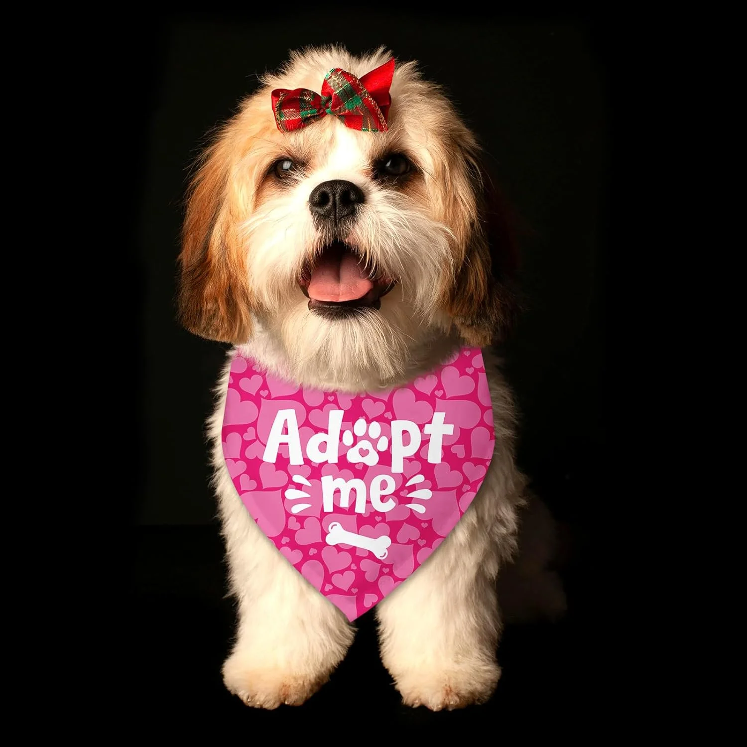 دستمال گردن سگ طرح قلب برای روز سرپرستی، دستمال گردن سگ به فرزندی گرفته شده، اعلام نوزاد، شال حیوانات خانگی برای سگ ها و گربه های کوچک و متوسط دستمال گردن سگ طرح قلب برای روز سرپرستی، دستمال گردن سگ به فرزندی گرفته شده، اعلام نوزاد، شال حیوانات خانگی برای سگ ها و گربه های کوچک و متوسط