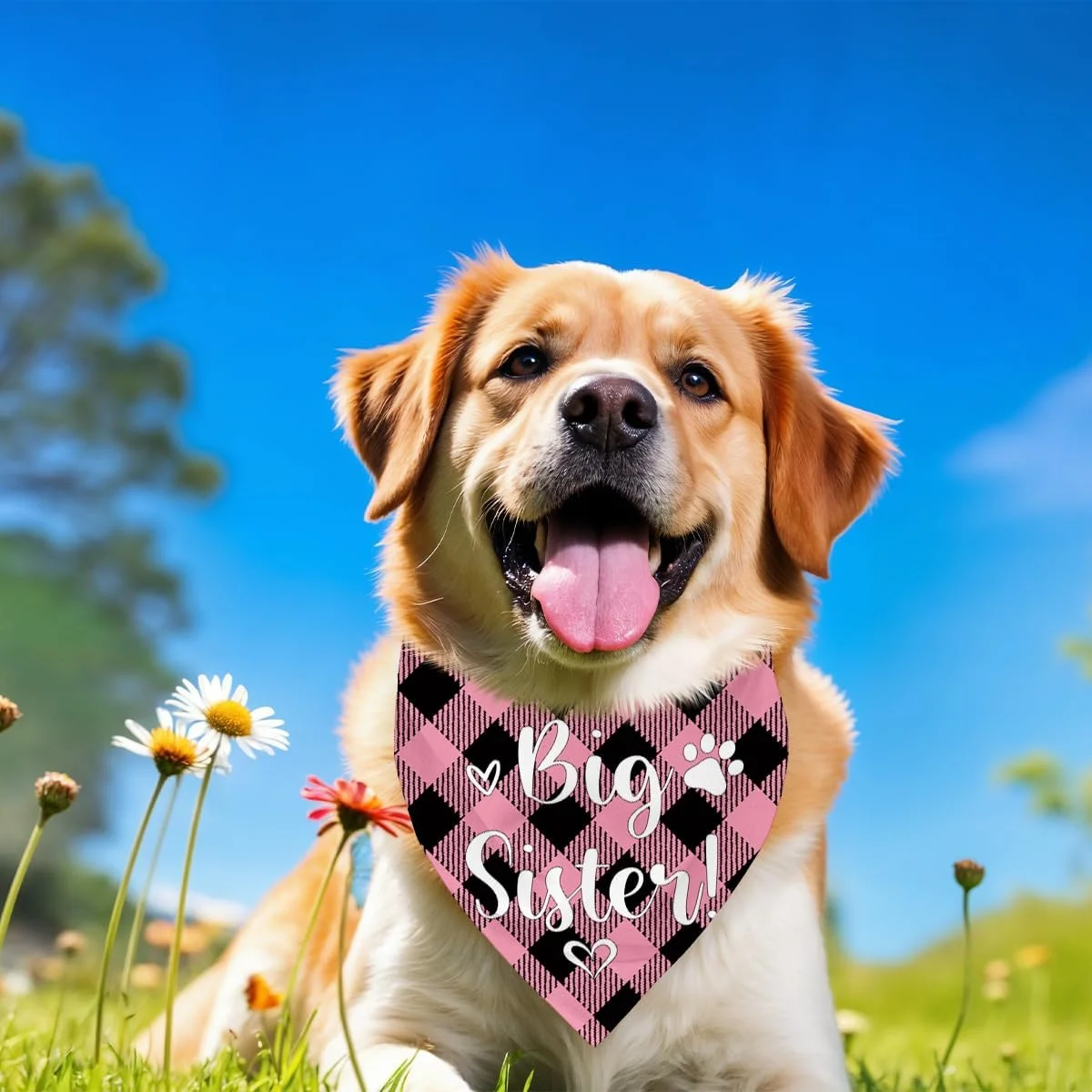 دستمال گردن سگ، دستمال گردن سگ خواهر بزرگتر، شال سگ با طرح چهارخانه کلاسیک، لوازم جانبی شال سگ، لوازم جانبی طرحدار حیوانات خانگی، دستمال گردن حیوانات خانگی C9