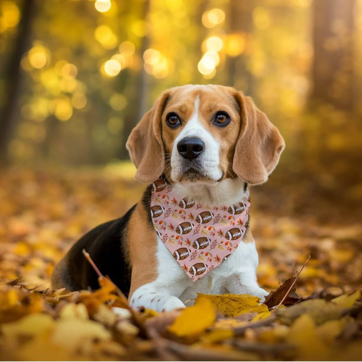 دستمال گردن پاییزی حیوانات خانگی، دستمال گردن تعطیلات با طرح برگ افرا و تمشک راگبی، دستمال گردن سگ با طرح بازی راگبی پاییزی، دستمال گردن توله سگ بامزه، دستمال سر مثلثی راحت و قابل تنظیم حیوانات خانگی