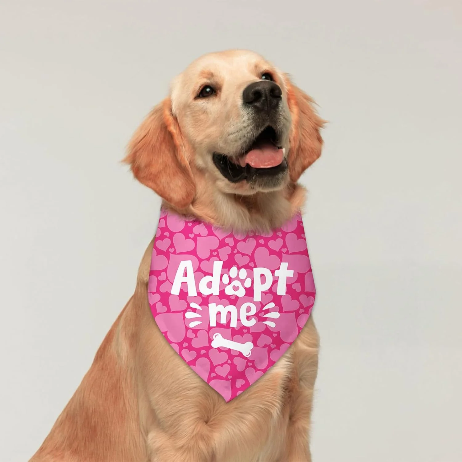 دستمال گردن سگ طرح قلب برای روز سرپرستی، دستمال گردن سگ به فرزندی گرفته شده، اعلام نوزاد، شال حیوانات خانگی برای سگ ها و گربه های کوچک و متوسط دستمال گردن سگ طرح قلب برای روز سرپرستی، دستمال گردن سگ به فرزندی گرفته شده، اعلام نوزاد، شال حیوانات خانگی برای سگ ها و گربه های کوچک و متوسط