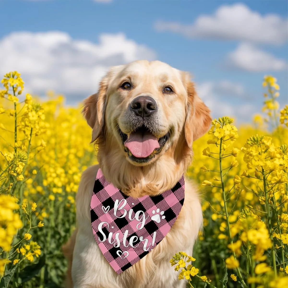 دستمال گردن سگ، دستمال گردن سگ خواهر بزرگتر، شال گردن سگ با طرح چهارخانه کلاسیک، لوازم جانبی شال گردن سگ، لوازم جانبی روگوشی چهارخانه حیوانات خانگی، روگوشی حیوانات خانگی C9