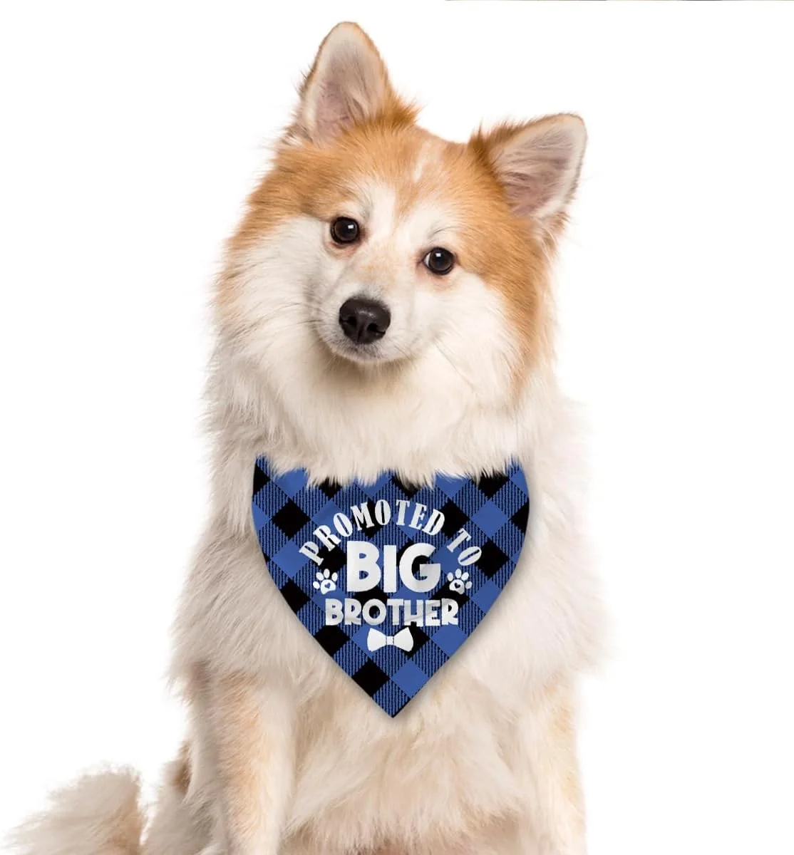 دستمال گردن سگ مشکی آبی، هدیه سگ برادر بزرگ، شال چاپی بوفالو برای سگ های کوچک متوسط بزرگ، هدیه خنده دار سگ، دستمال گردن سگ برادر بزرگ، 63.5 x 43.18 سانتی متر دستمال گردن سگ مشکی آبی، هدیه سگ برادر بزرگ، شال چاپی بوفالو برای سگ های کوچک متوسط بزرگ، هدیه خنده دار سگ، دستمال گردن سگ برادر بزرگ، 63.5 x 43.18 سانتی متر
