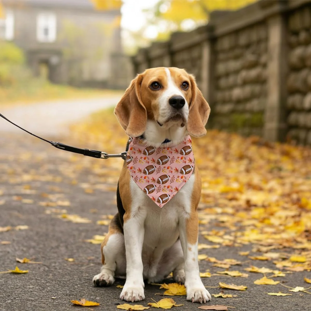 دستمال گردن پاییزی حیوانات خانگی، دستمال گردن تعطیلات با طرح برگ افرا و تمشک راگبی، دستمال گردن سگ با طرح بازی راگبی پاییزی، دستمال گردن توله سگ بامزه، دستمال سر مثلثی راحت و قابل تنظیم حیوانات خانگی