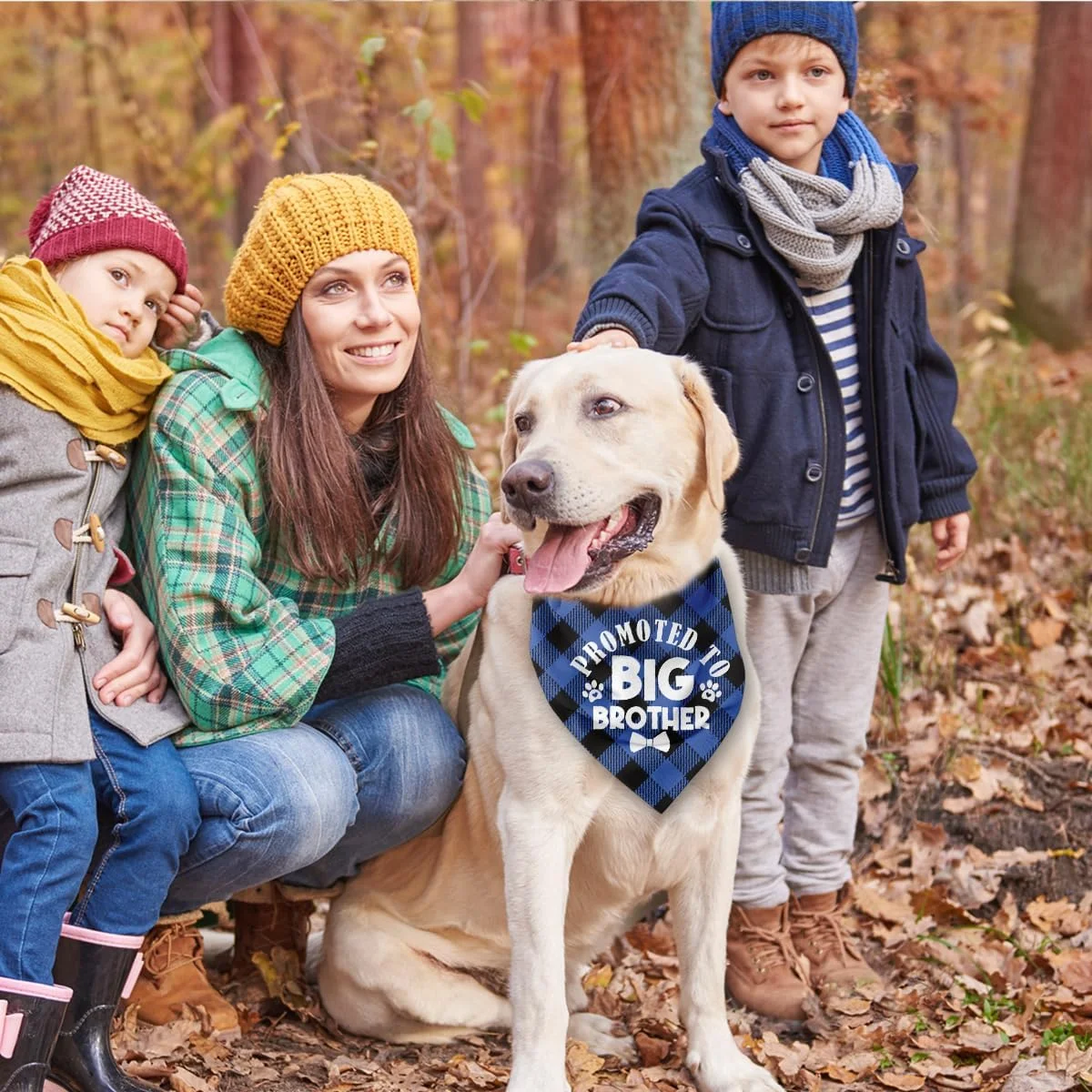 دستمال گردن سگ مشکی آبی، هدیه سگ برادر بزرگ، شال چاپی بوفالو برای سگ های کوچک متوسط بزرگ، هدیه خنده دار سگ، دستمال گردن سگ برادر بزرگ، 63.5 x 43.18 سانتی متر دستمال گردن سگ مشکی آبی، هدیه سگ برادر بزرگ، شال چاپی بوفالو برای سگ های کوچک متوسط بزرگ، هدیه خنده دار سگ، دستمال گردن سگ برادر بزرگ، 63.5 x 43.18 سانتی متر