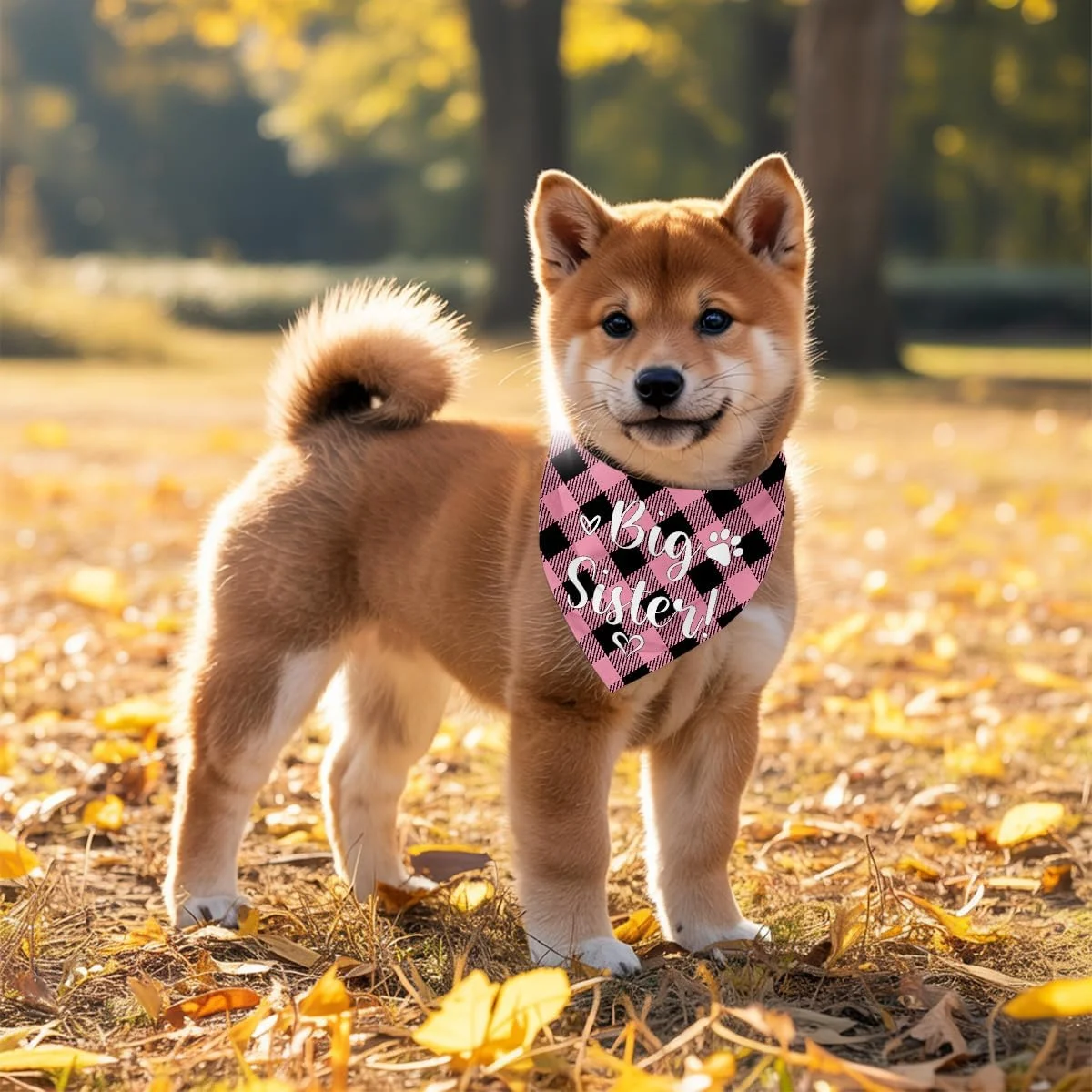 دستمال گردن سگ، دستمال گردن سگ خواهر بزرگتر، شال گردن سگ با طرح چهارخانه کلاسیک، لوازم جانبی شال گردن سگ، لوازم جانبی روگوشی چهارخانه حیوانات خانگی، روگوشی حیوانات خانگی C9
