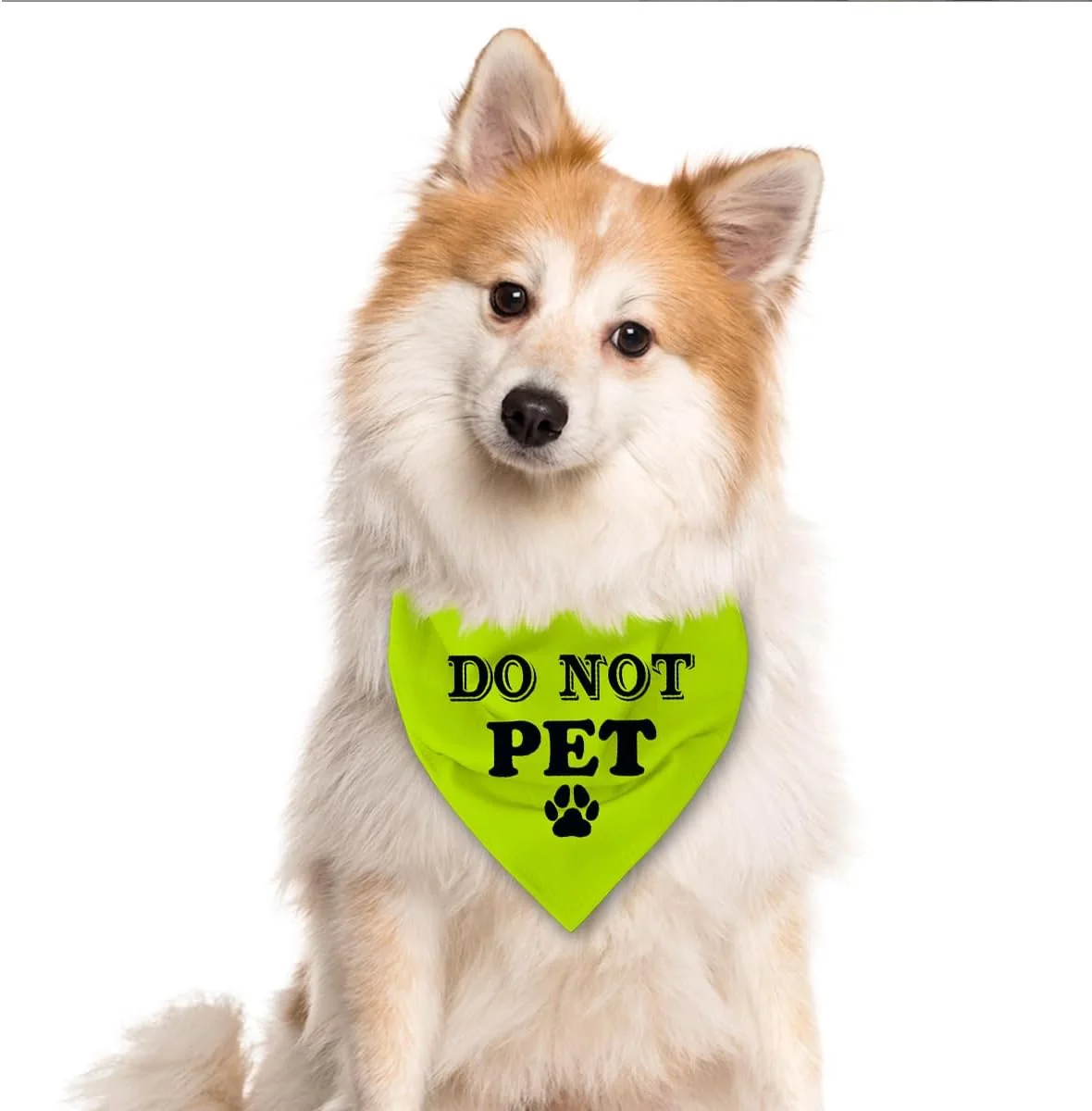 دستمال گردن سگ طرح "دست نزنید", شال گردن زرد سگ برای سگ های پسر و دختر، توله سگ و گربه، دستمال گردن سگ راحت و قابل تنفس، هدیه شال گردن حیوانات خانگی دستمال گردن سگ طرح "دست نزنید", شال گردن زرد سگ برای سگ های پسر و دختر، توله سگ و گربه، دستمال گردن سگ راحت و قابل تنفس، هدیه شال گردن حیوانات خانگی
