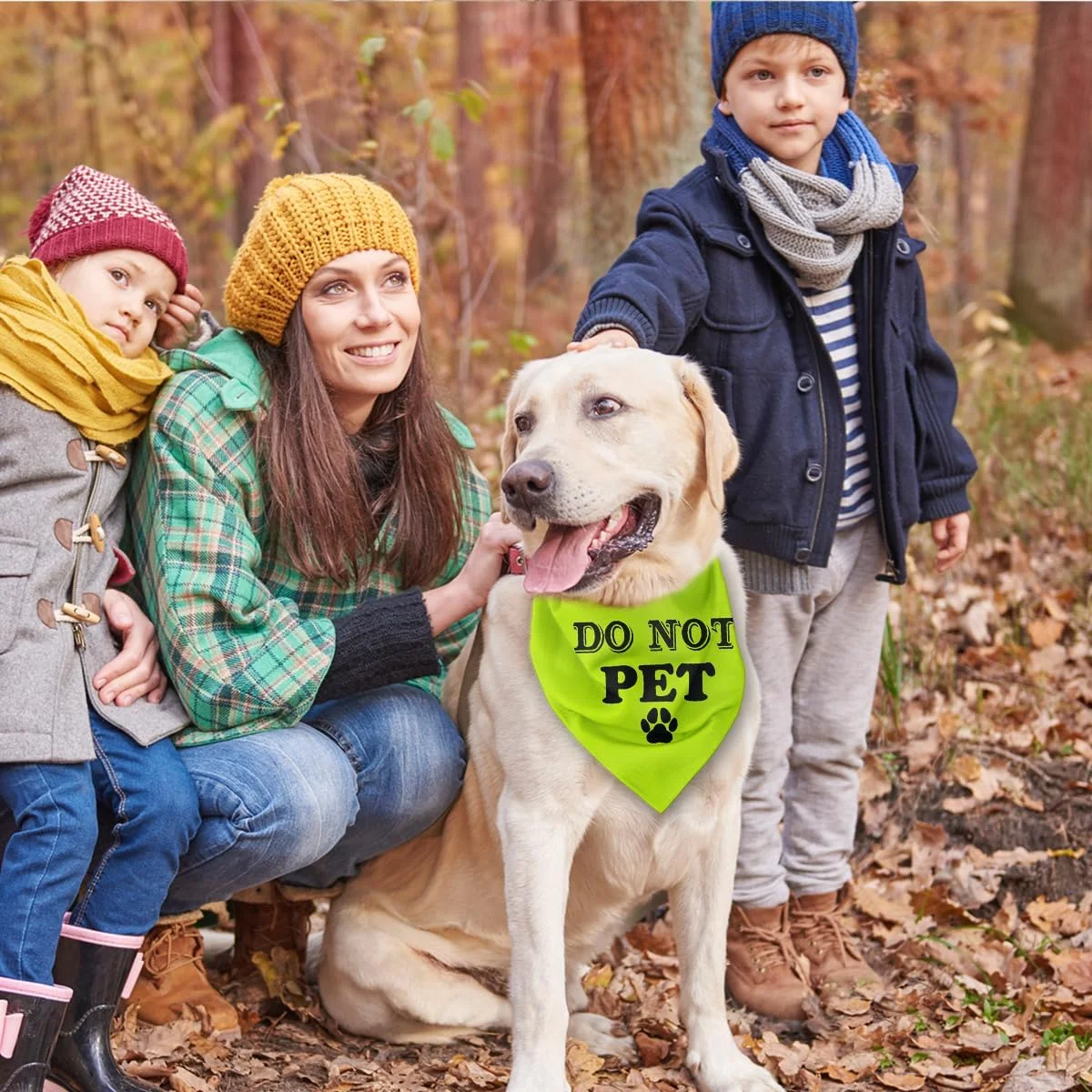 دستمال گردن سگ طرح "دست نزنید", شال گردن زرد سگ برای سگ های پسر و دختر، توله سگ و گربه، دستمال گردن سگ راحت و قابل تنفس، هدیه شال گردن حیوانات خانگی دستمال گردن سگ طرح "دست نزنید", شال گردن زرد سگ برای سگ های پسر و دختر، توله سگ و گربه، دستمال گردن سگ راحت و قابل تنفس، هدیه شال گردن حیوانات خانگی