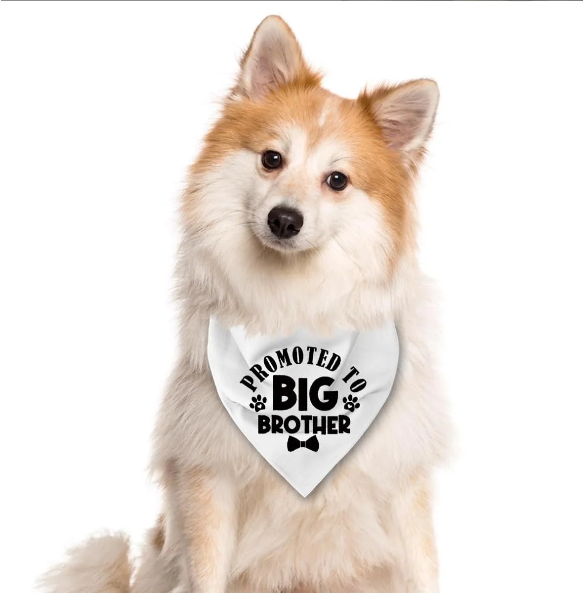 دستمال گردن سگ سفید، هدیه سگ برادر بزرگتر، روسری راحت برای سگ های کوچک، متوسط و بزرگ، هدیه خنده دار سگ برای پسران، دستمال گردن سگ برادر بزرگتر دستمال گردن سگ سفید، هدیه سگ برادر بزرگتر، روسری راحت برای سگ های کوچک، متوسط و بزرگ، هدیه خنده دار سگ برای پسران، دستمال گردن سگ برادر بزرگتر