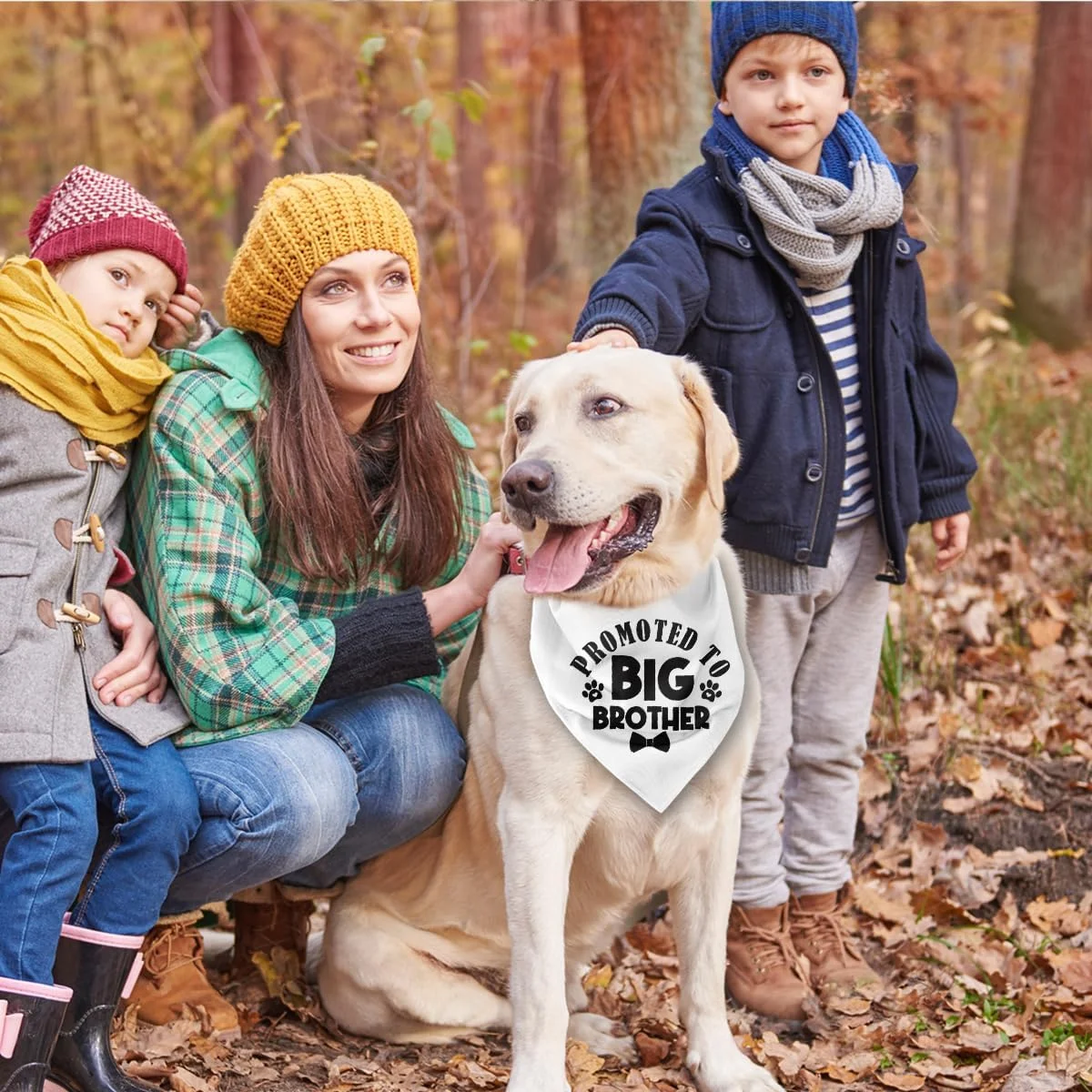 دستمال گردن سگ سفید، هدیه سگ برادر بزرگتر، روسری راحت برای سگ های کوچک، متوسط و بزرگ، هدیه خنده دار سگ برای پسران، دستمال گردن سگ برادر بزرگتر دستمال گردن سگ سفید، هدیه سگ برادر بزرگتر، روسری راحت برای سگ های کوچک، متوسط و بزرگ، هدیه خنده دار سگ برای پسران، دستمال گردن سگ برادر بزرگتر