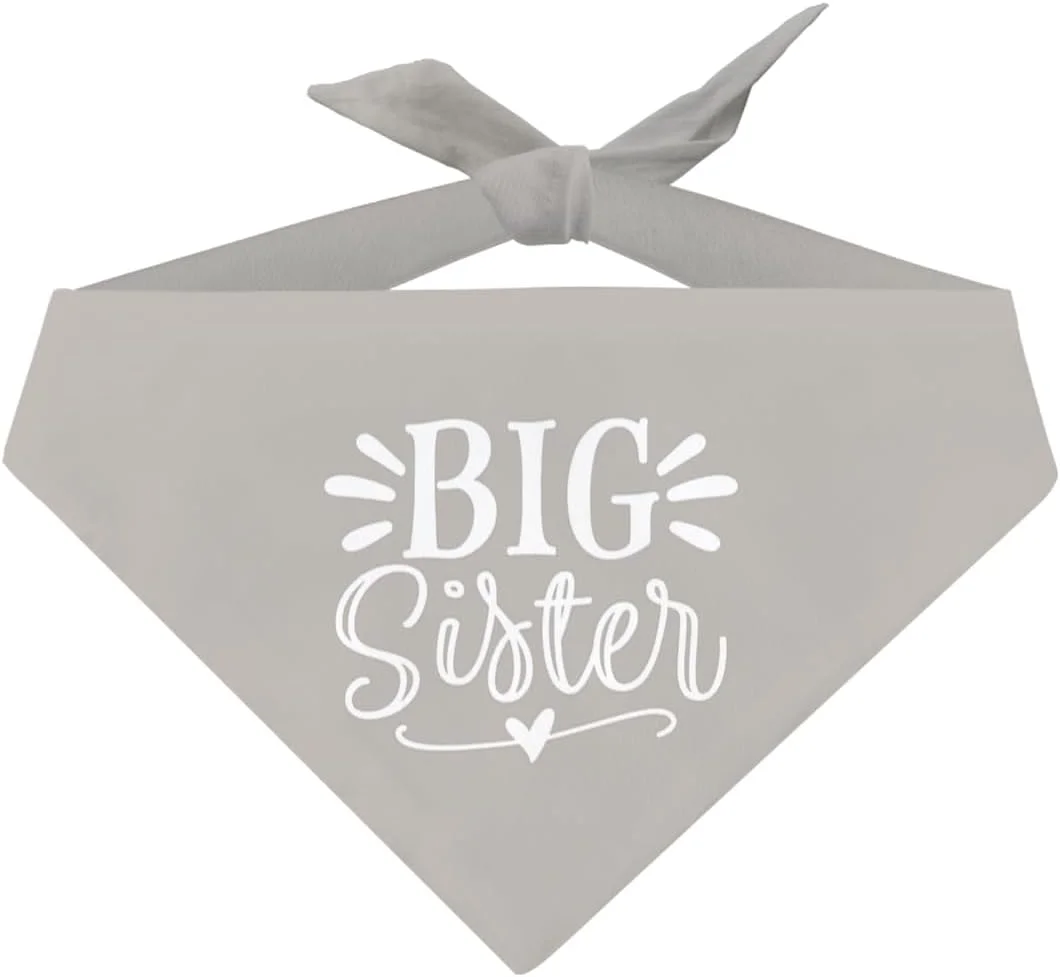 دستمال گردن سگ خاکستری برای سگ های دختر، هدیه خواهر بزرگتر برای سگ ها، شال گردن راحت برای سگ های کوچک، متوسط و بزرگ، هدیه سگ ناز، دستمال پارچه ای فلانل دستمال گردن سگ خاکستری برای سگ های دختر، هدیه خواهر بزرگتر برای سگ ها، شال گردن راحت برای سگ های کوچک، متوسط و بزرگ، هدیه سگ ناز، دستمال پارچه ای فلانل