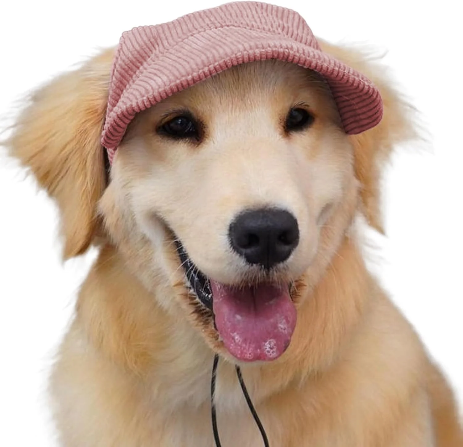 کلاه بیسبال سگ | آفتاب‌گیر توله سگ، سبک وزن با سوراخ‌های گوش، نقاب ساحلی برای سگ‌های کوچک، متوسط و بزرگ، مناسب ورزش، پیاده‌روی و کوهنوردی در فضای باز
