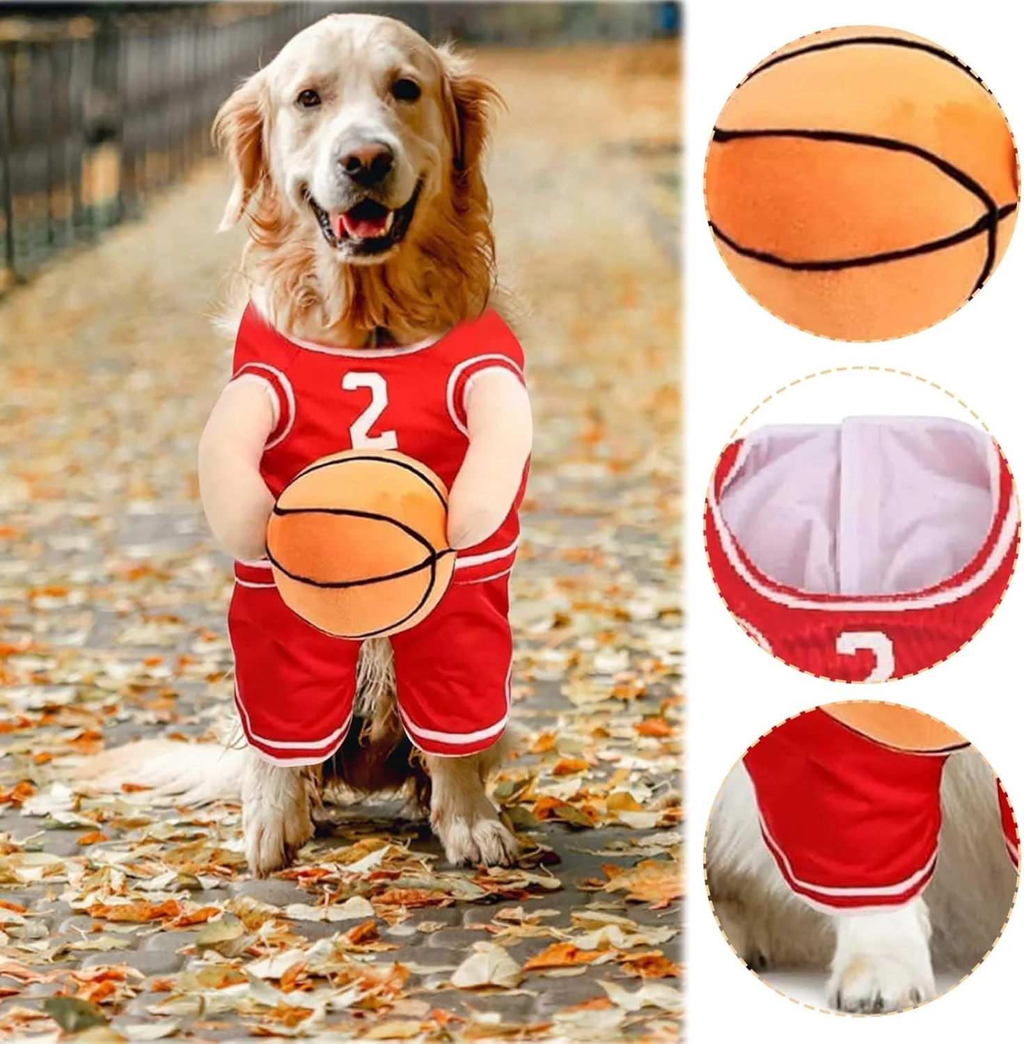 لباس بسکتبالی سگ با توپ، بازیکن برای کریسمس، لباس بسکتبالی برای سگ ها (قرمز، کوچک) لباس بسکتبالی سگ با توپ، بازیکن برای کریسمس، لباس بسکتبالی برای سگ ها (قرمز، کوچک)