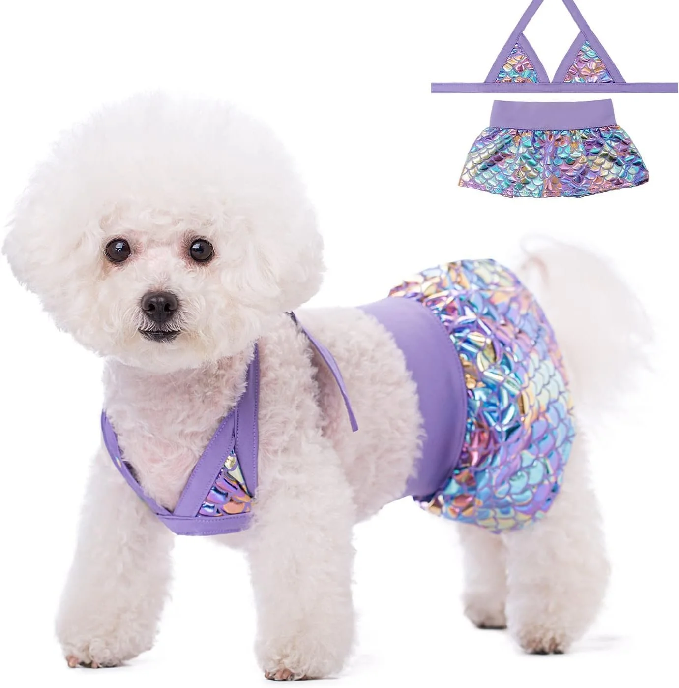 لباس شنای سگ بیکینی لباس ساحلی سگ و گربه (بنفش، M)