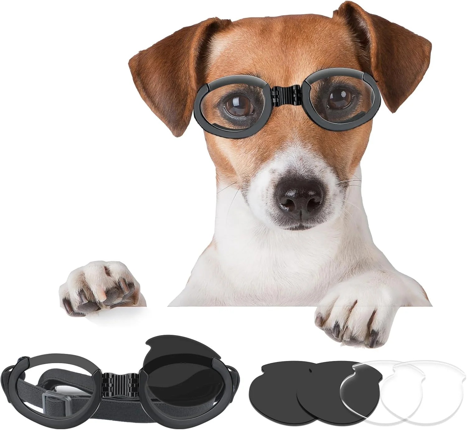 عینک آفتابی سگ قابل تنظیم، عینک موتورسواری ضد باد سگ با لنزهای قابل تعویض (مشکی + شفاف) عینک سگ برای سگ های متوسط تا بزرگ عینک آفتابی سگ قابل تنظیم، عینک موتورسواری ضد باد سگ با لنزهای قابل تعویض (مشکی + شفاف) عینک سگ برای سگ های متوسط تا بزرگ