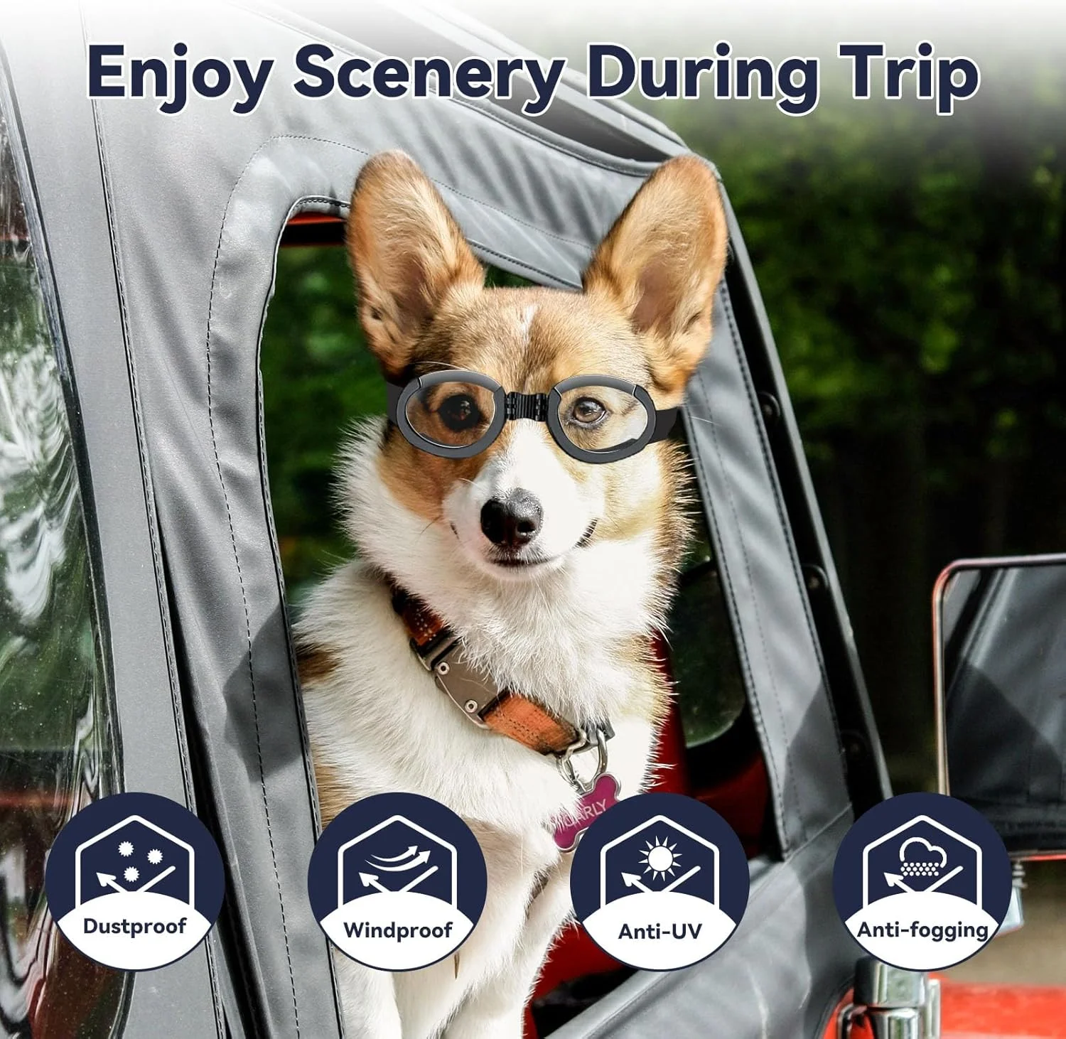 عینک آفتابی سگ قابل تنظیم، عینک موتورسواری ضد باد سگ با لنزهای قابل تعویض (مشکی + شفاف) عینک سگ برای سگ های متوسط ​​تا بزرگ