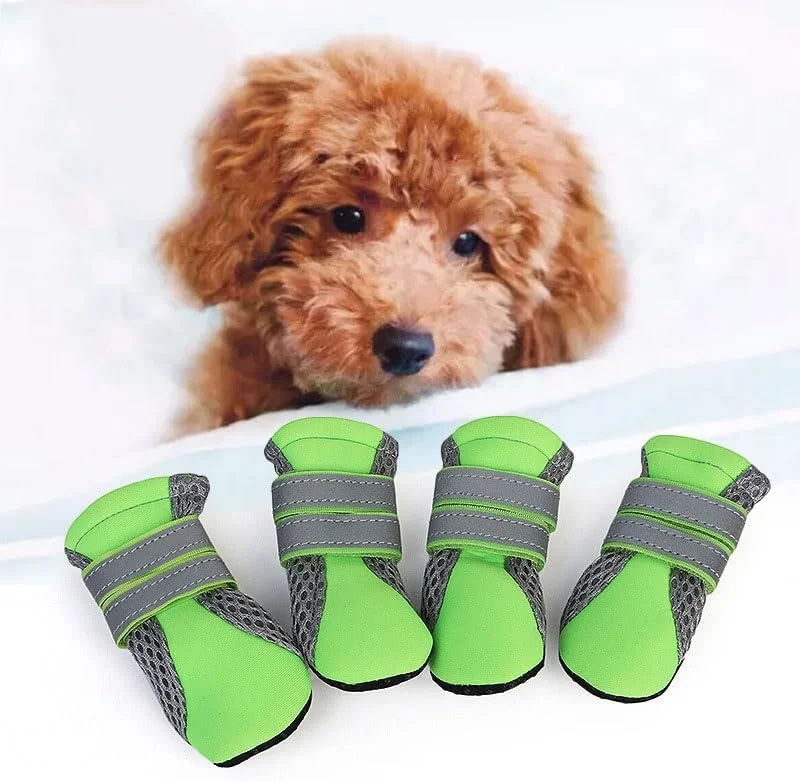 کفش سگ توری تنفسی با کفی نرم برای سگ های کوچک، پودل و بیچون فریز کفش سگ توری تنفسی با کفی نرم برای سگ های کوچک، پودل و بیچون فریز